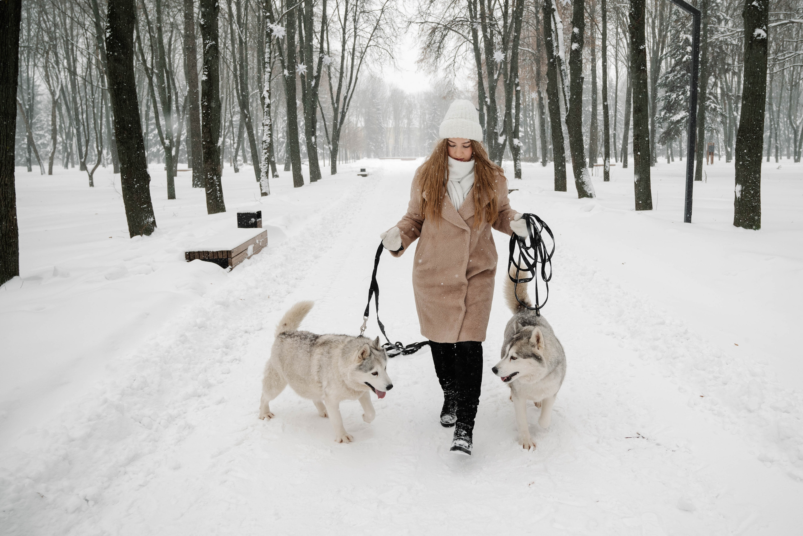 Маша с двумя хаски в снегу. Свадебный и портретный фотограф в Липецке Юлия Свит
