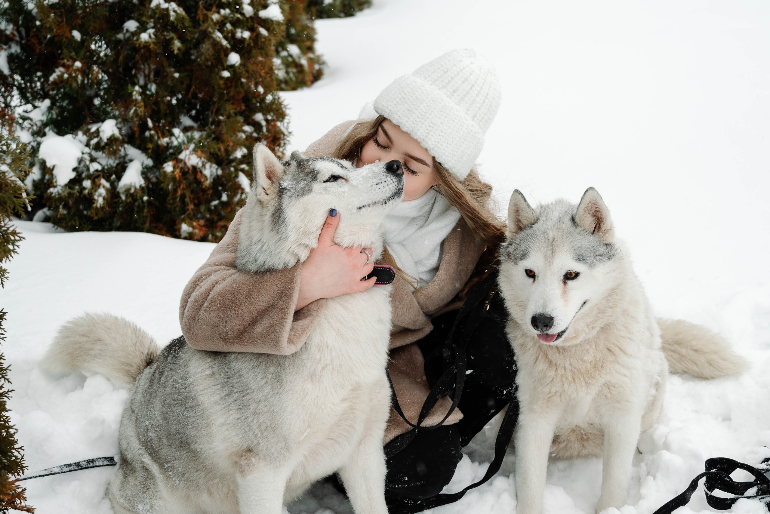Маша с двумя хаски в снегу. Свадебный и портретный фотограф в Липецке Юлия Свит
