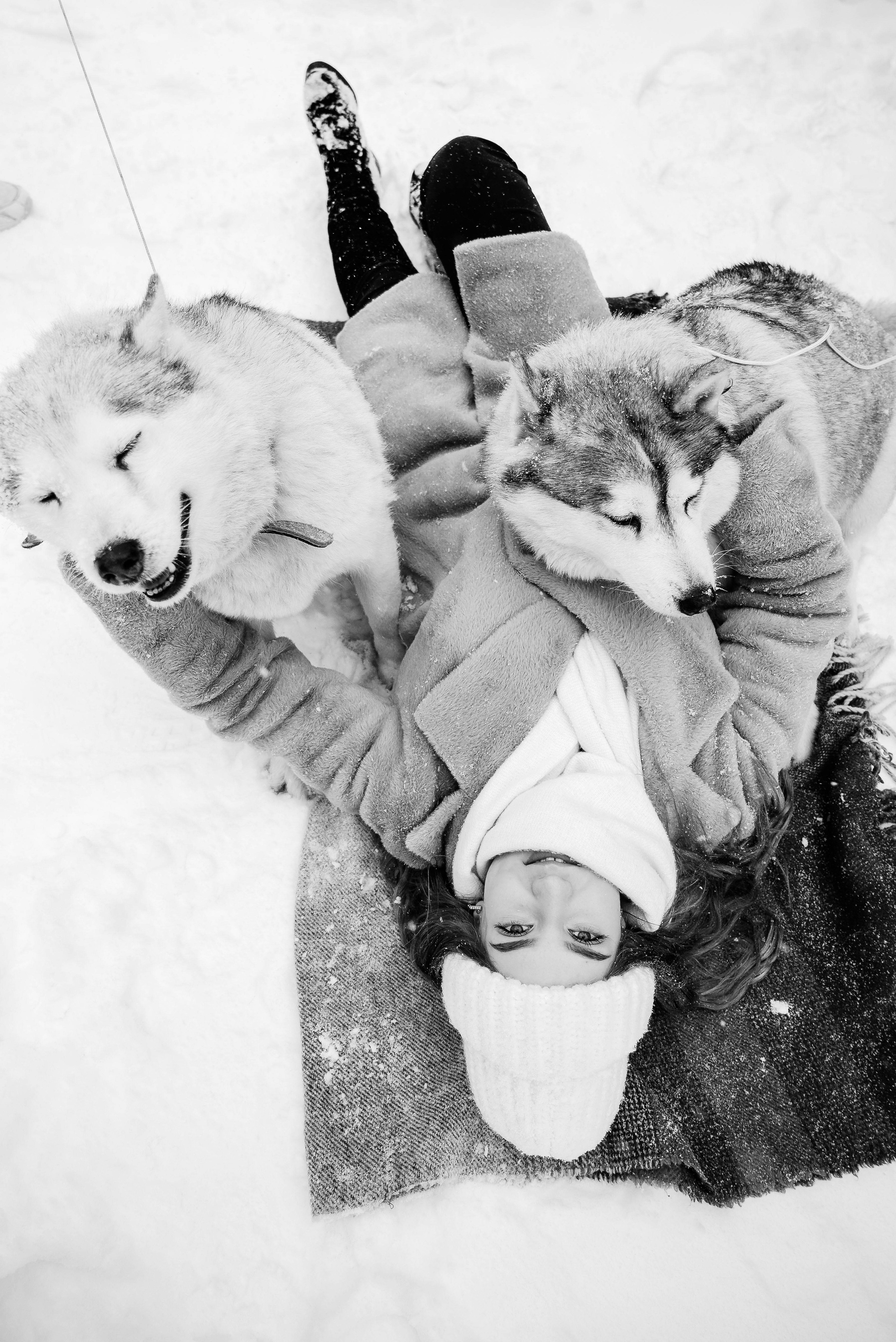 Маша с двумя хаски в снегу. Свадебный и портретный фотограф в Липецке Юлия Свит