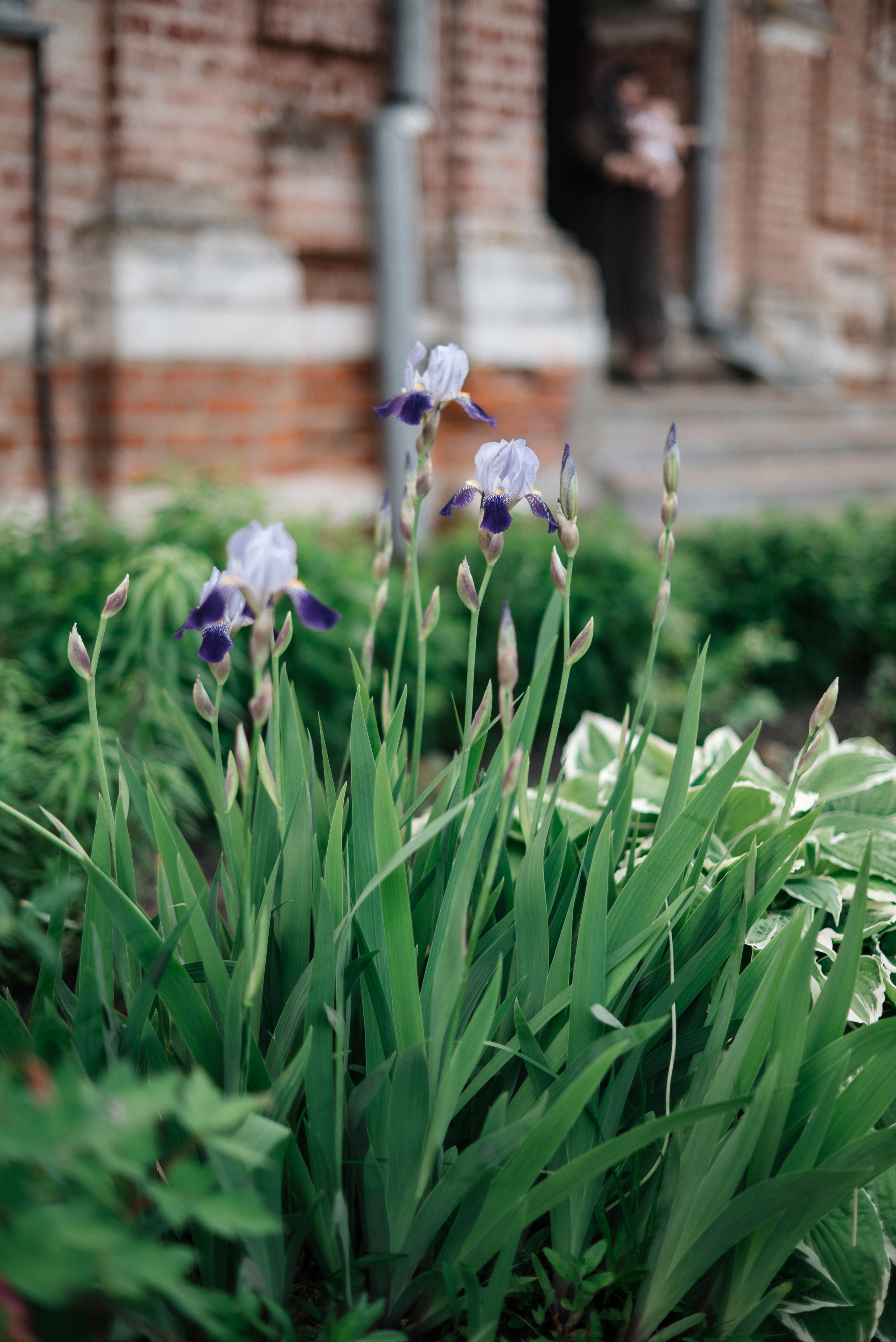 Крестины 6 июня 2022 Вешаловка. Свадебный и портретный фотограф в Липецке Юлия Свит