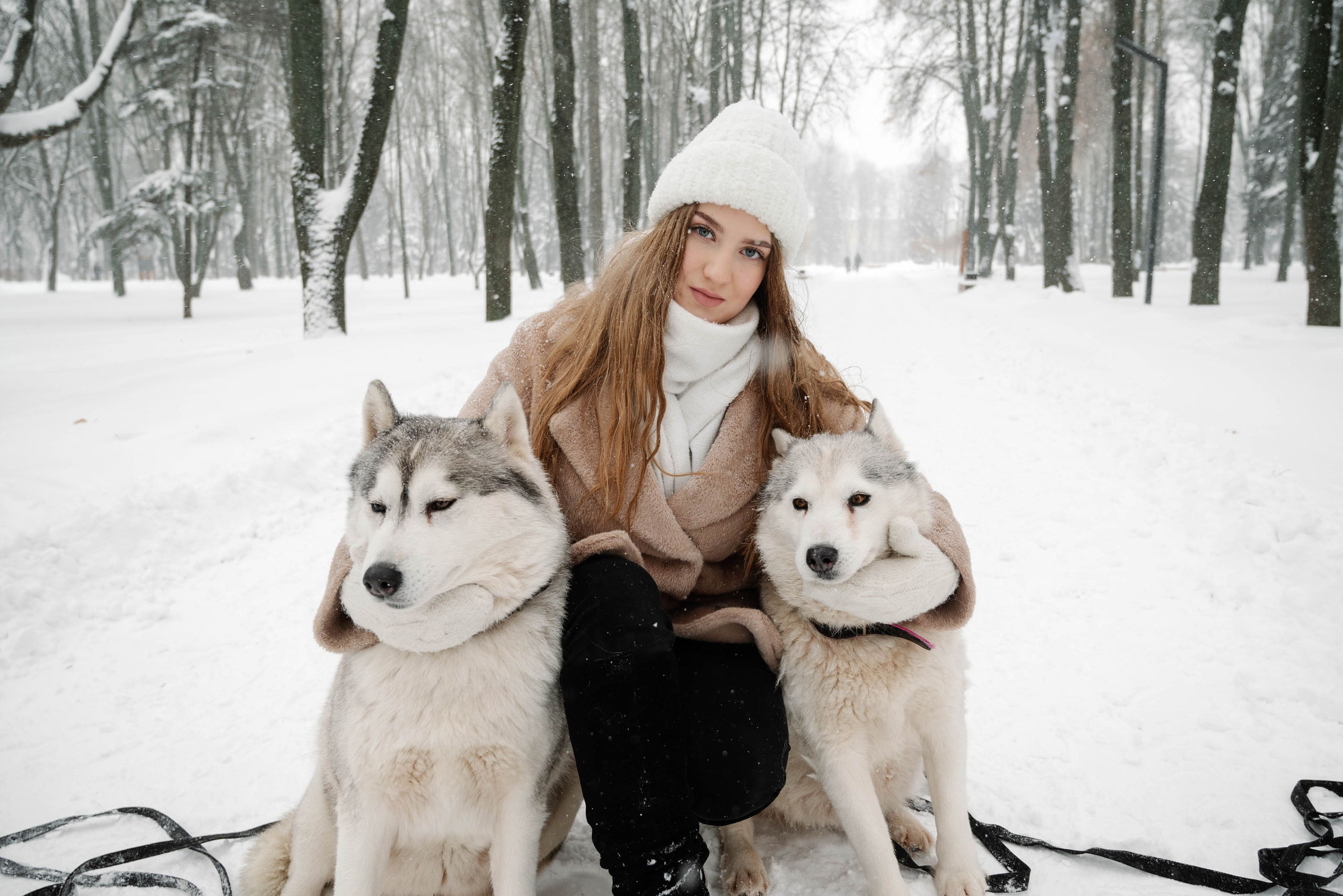 Маша с двумя хаски в снегу. Свадебный и портретный фотограф в Липецке Юлия Свит