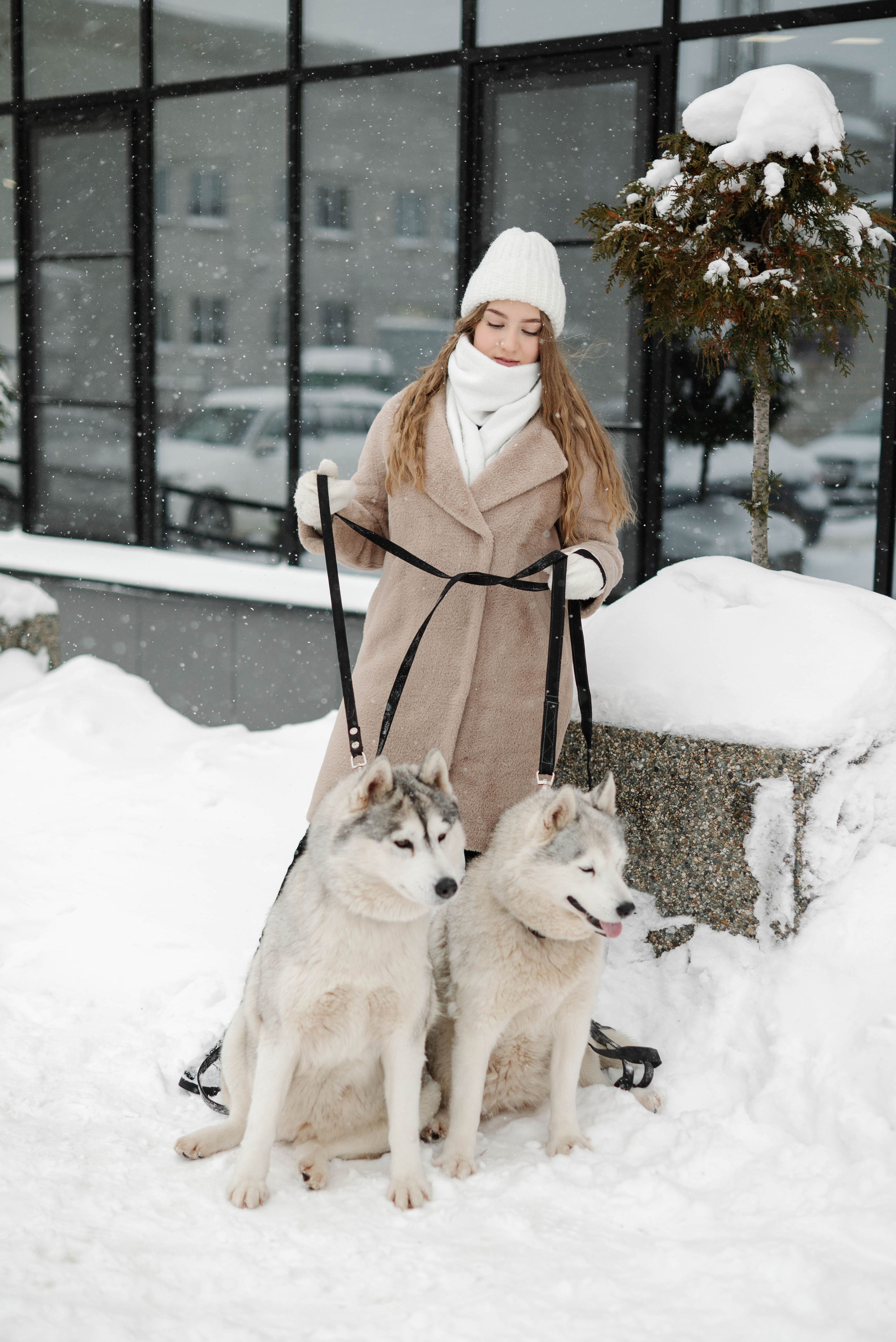 Маша с двумя хаски в снегу. Свадебный и портретный фотограф в Липецке Юлия Свит