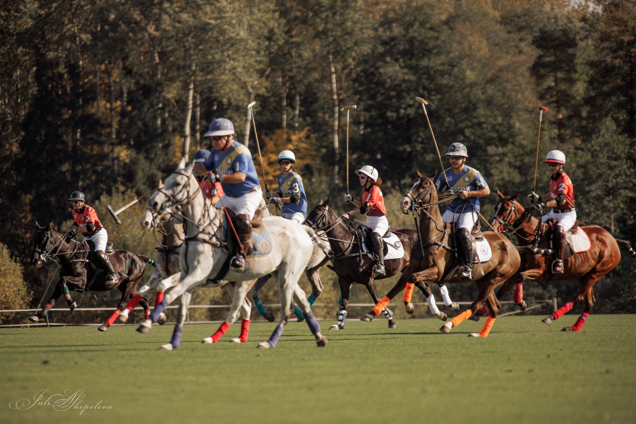 Осенний кубок по конному поло. Детская Конная фотография в Москве Юлия Шепелева