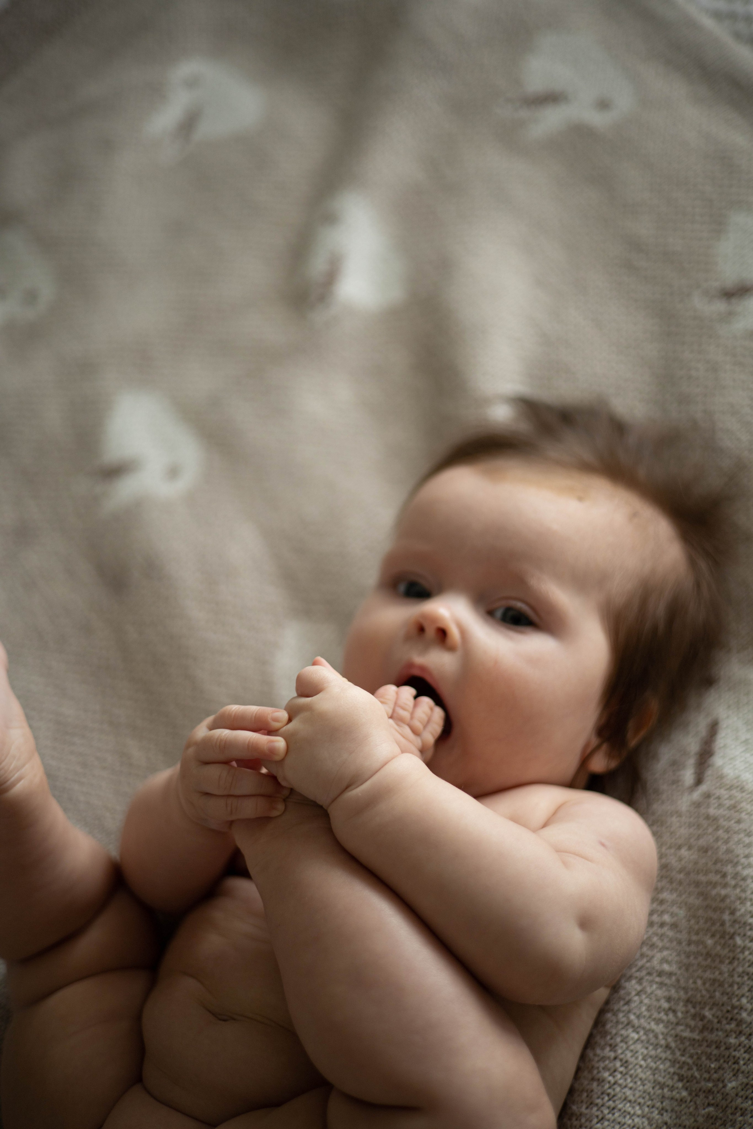 New born. Семейный и детский фотограф в Ростове-на-Дону Удалова Лина