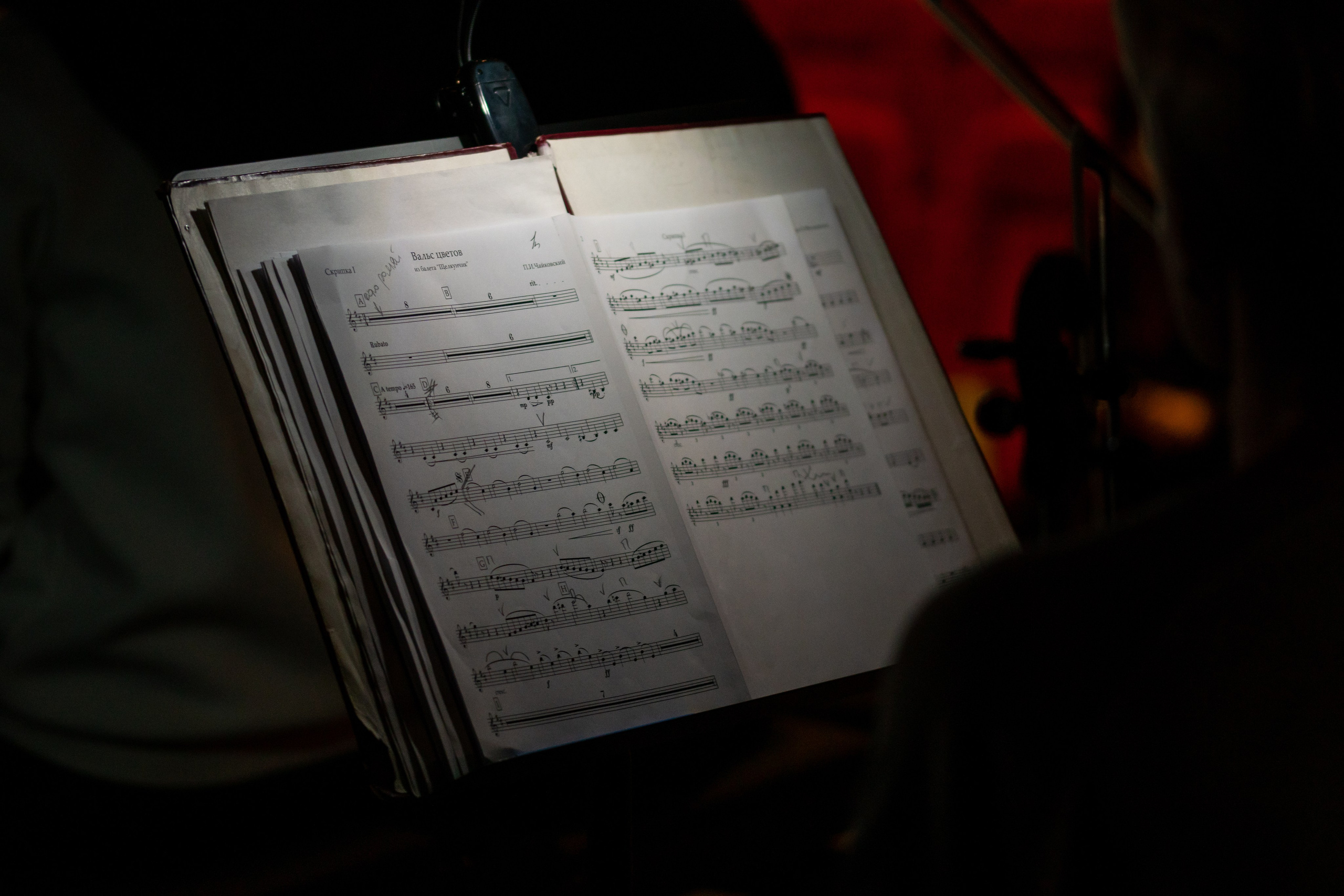 Съёмка концерта Домисольки с оркестром. «Студия DRONAVT`s» — видеосъёмка и фотография г. Москва