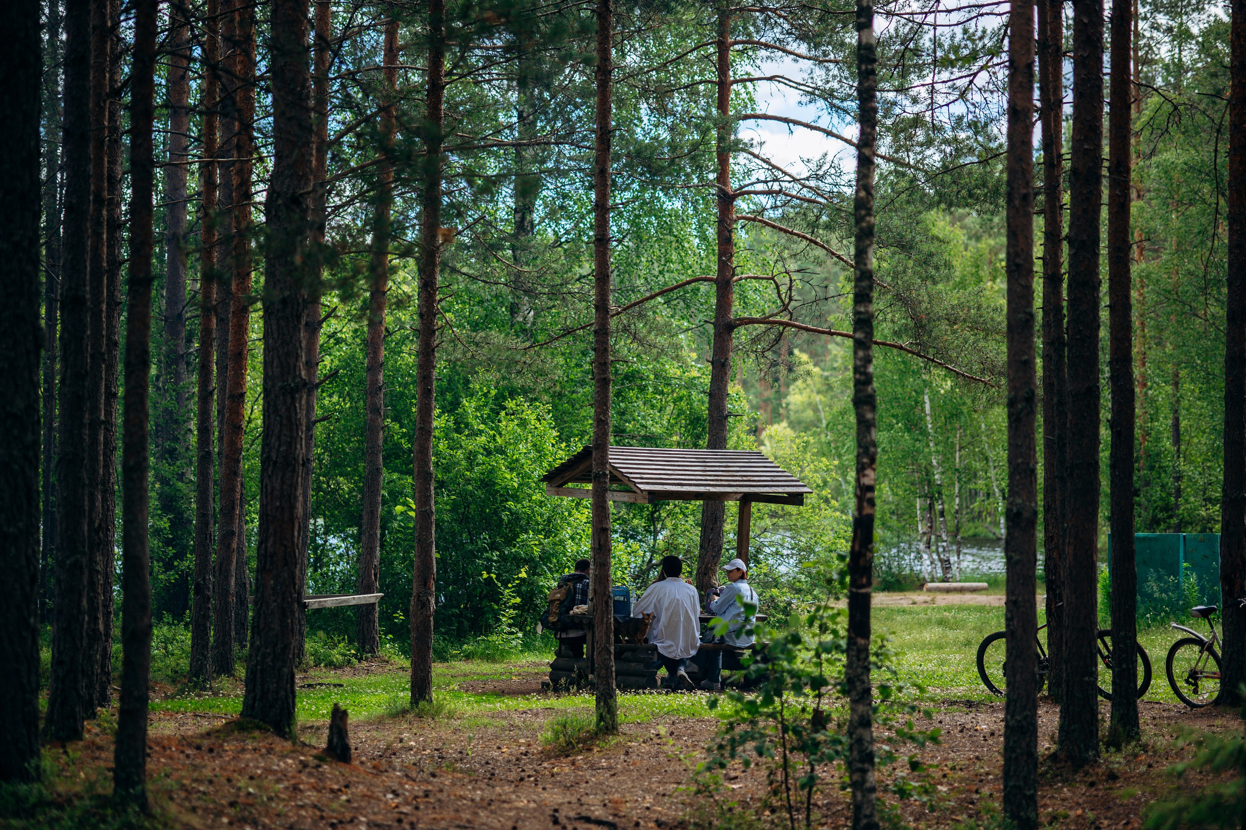 Котофеи и их семья. Фотограф — Анималист | Санкт-Петербург