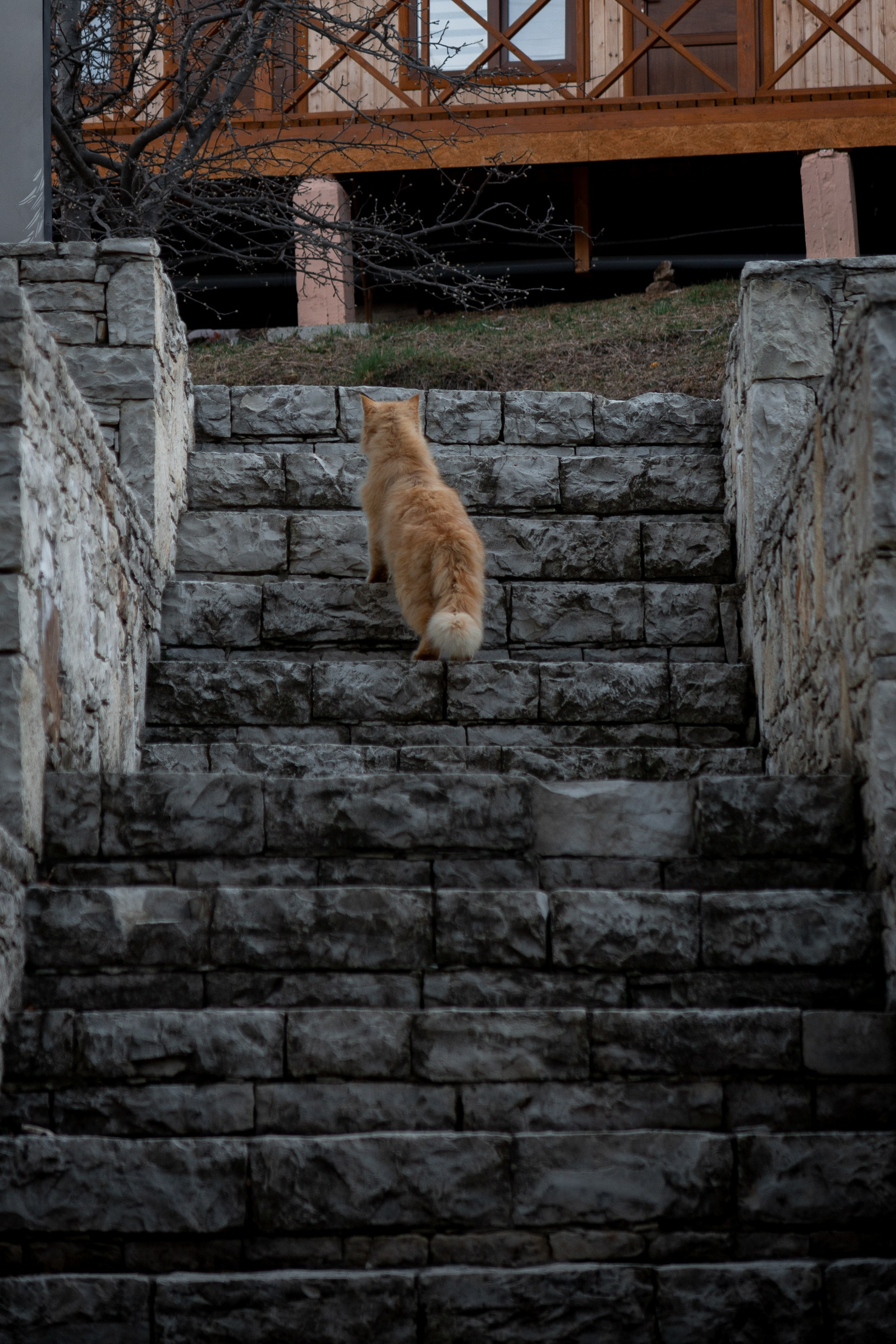 Поездка в Дагестан (село Гуниб) на съемку трейла Wild Trail. Павел Шарапов | Фотограф | Москва