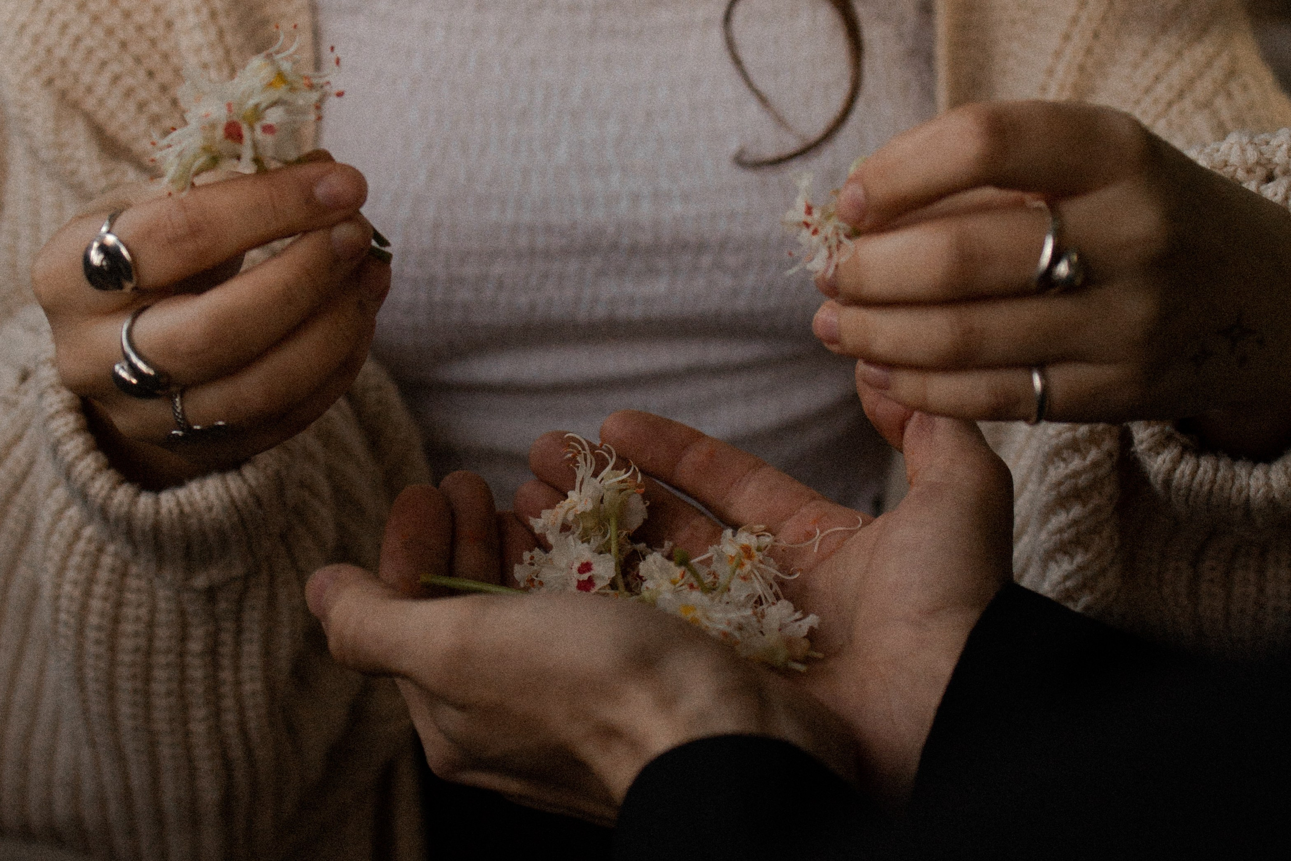 Lovestory (мк). Свадебный фотограф Москва Санкт-Петербург Сочи Калининград Мария