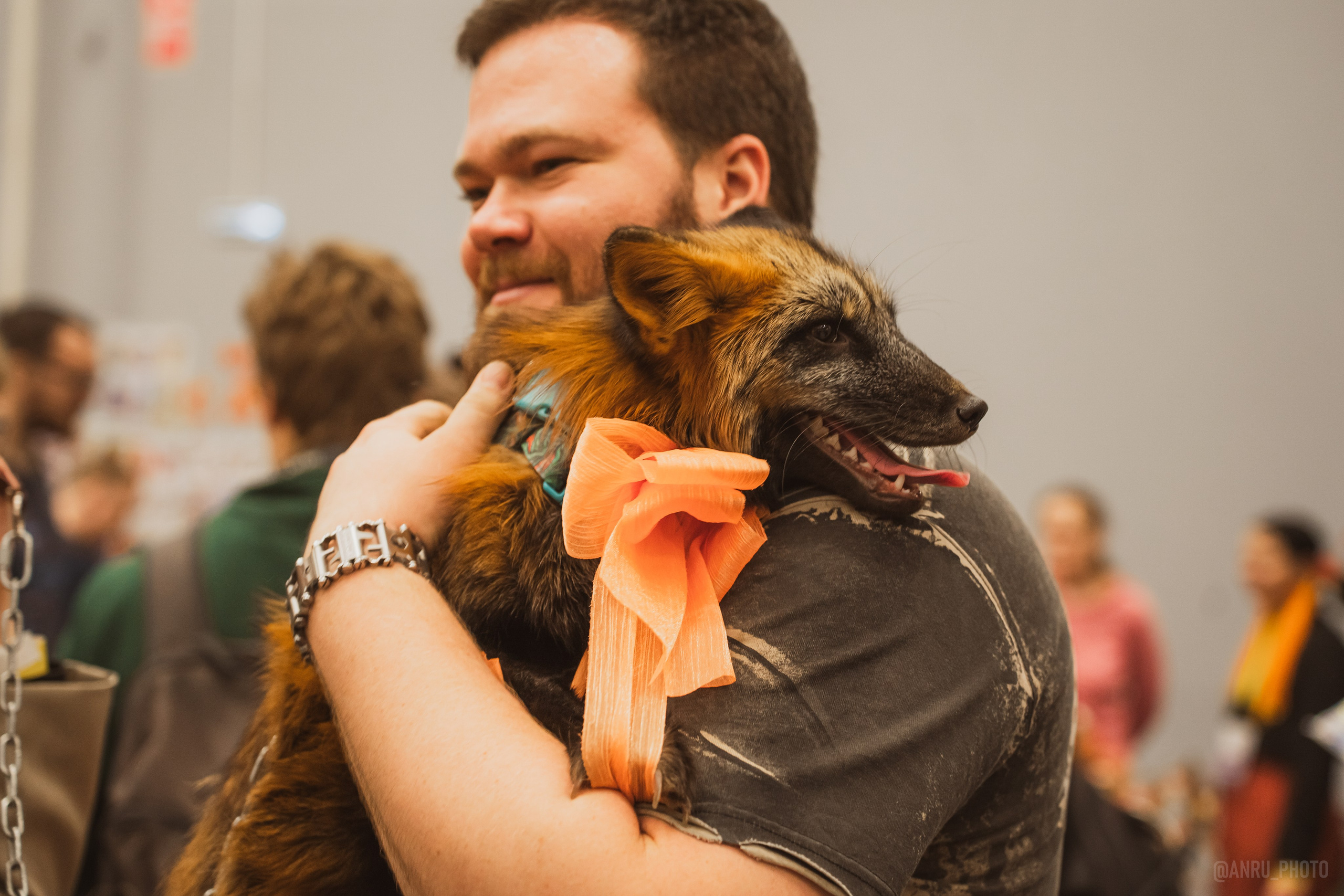 Fox Family fest. Репортажный фотограф Анастасия Рубцова