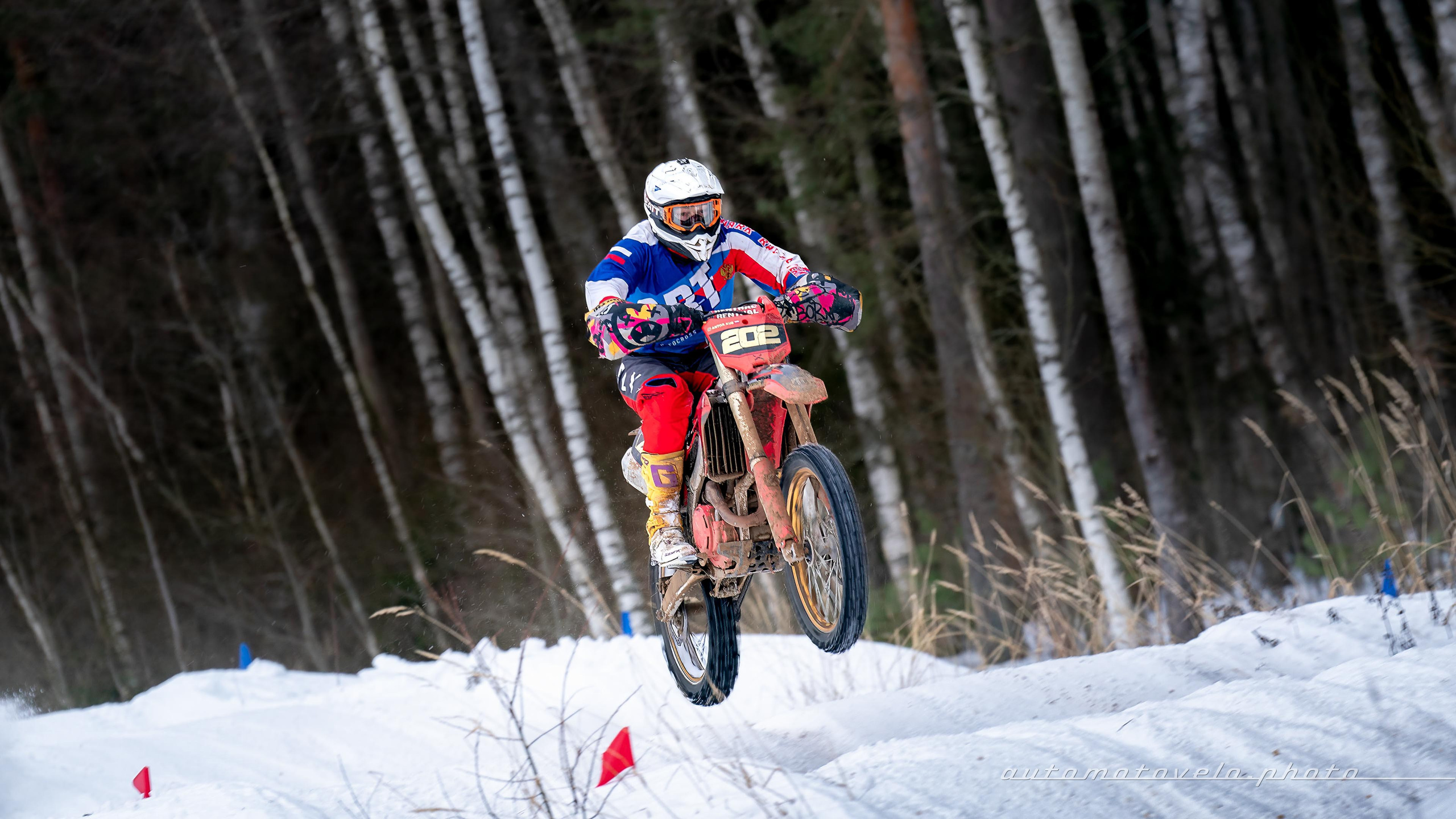 Скийоринг в Конаково 2024/25. 1 этап