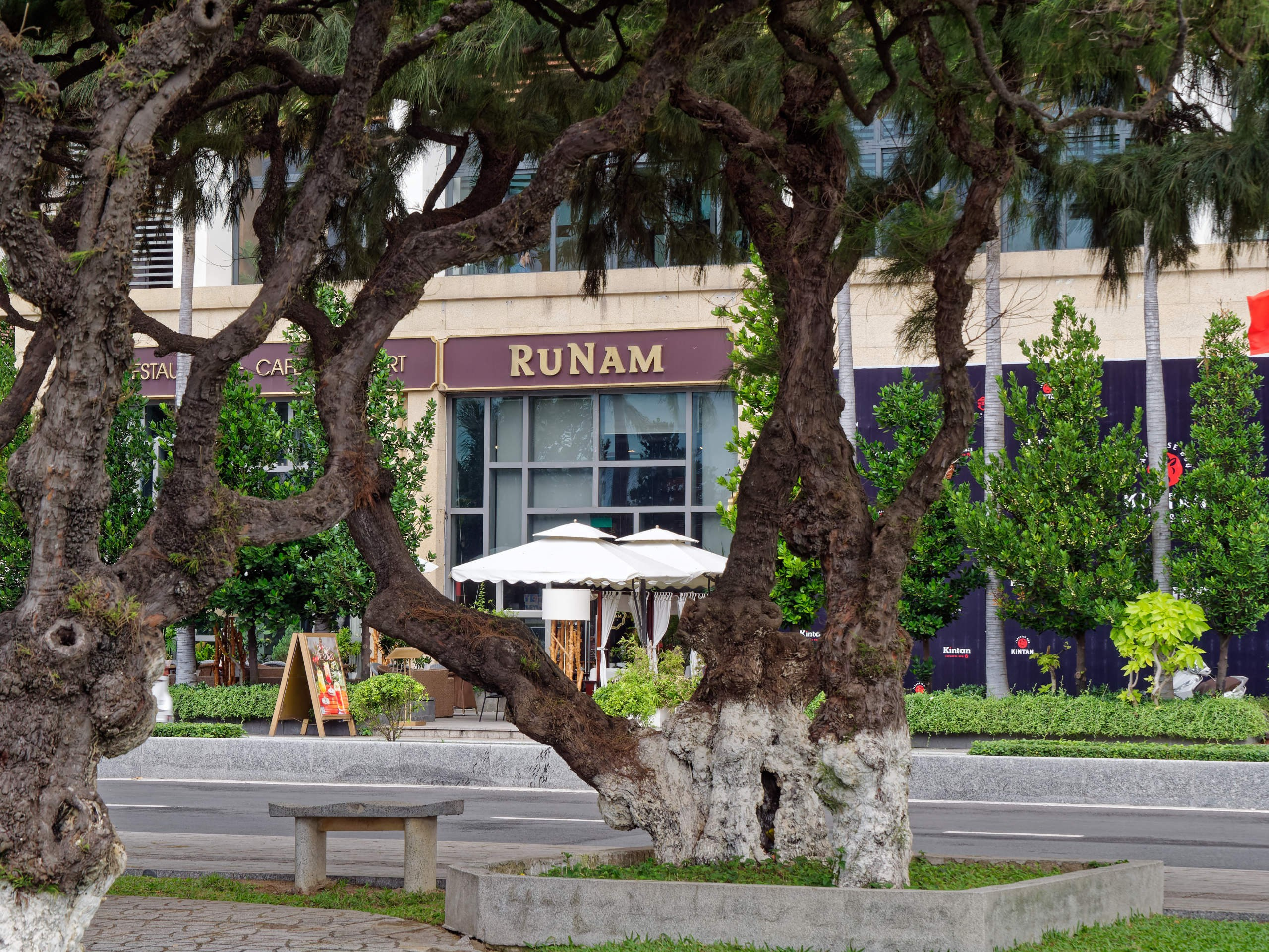 Нячанг 2025 (4). Избранные фотографии