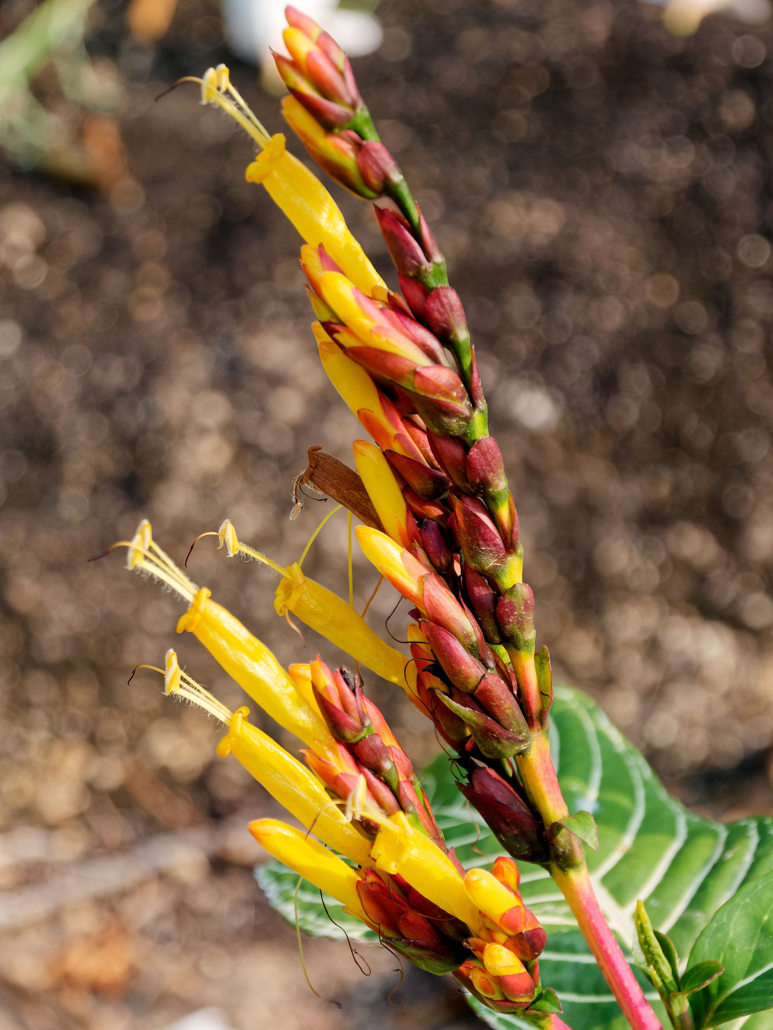 Хайнань 2026, первые впечатления. Фотопрогулки по Миру