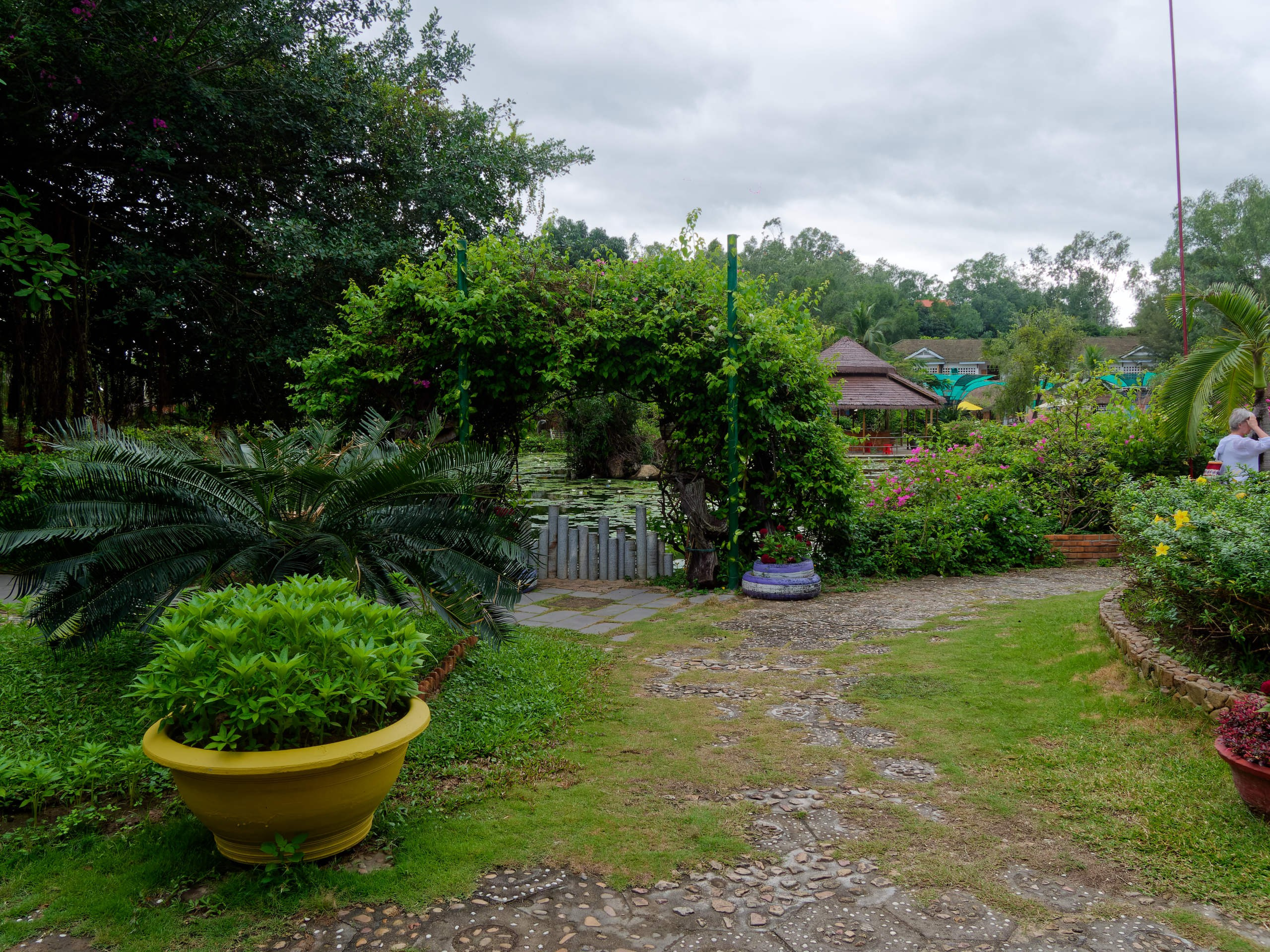 Нячанг 2025 (4). Избранные фотографии