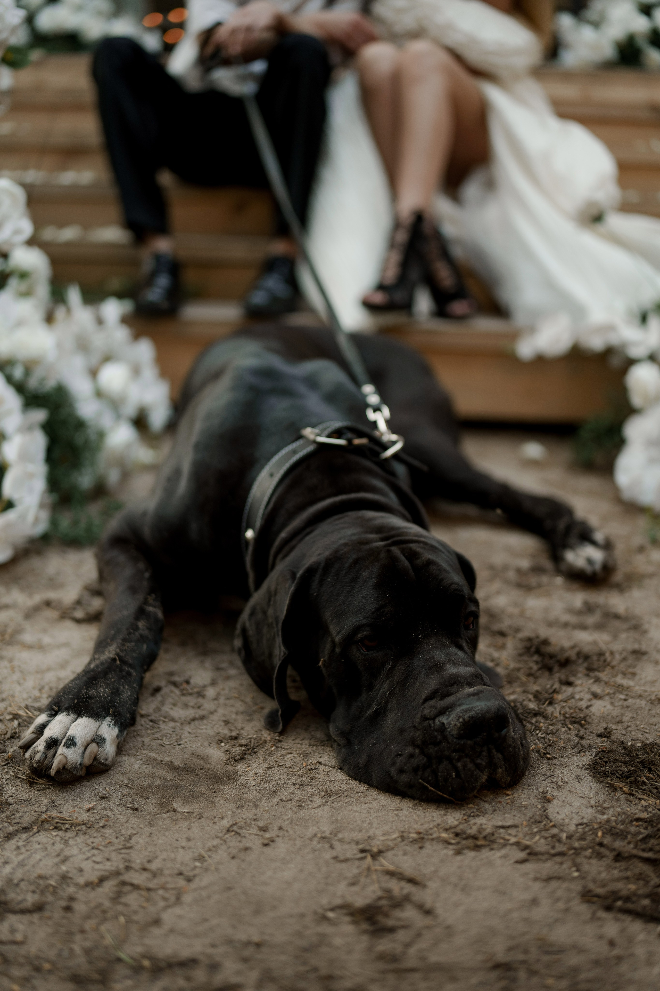 DVOE. Свадебный фотограф Марина Бобкова в Липецке, Воронеже, Москва