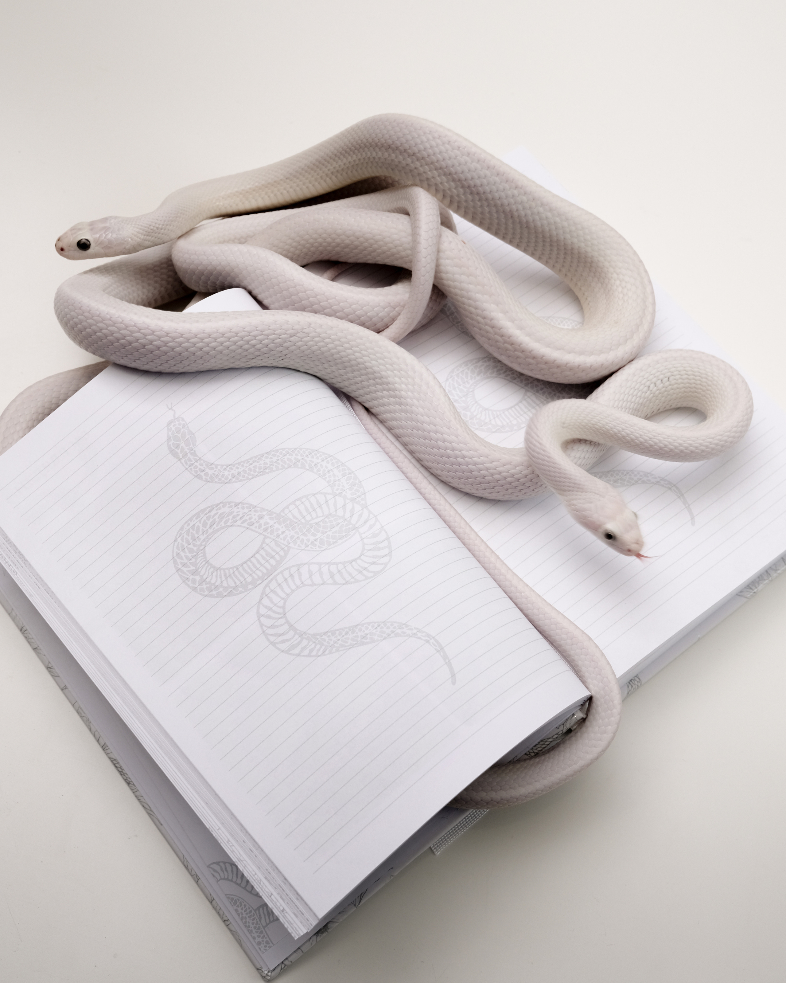 ReiNkar. Креативный продюсер / сет—дизайнер