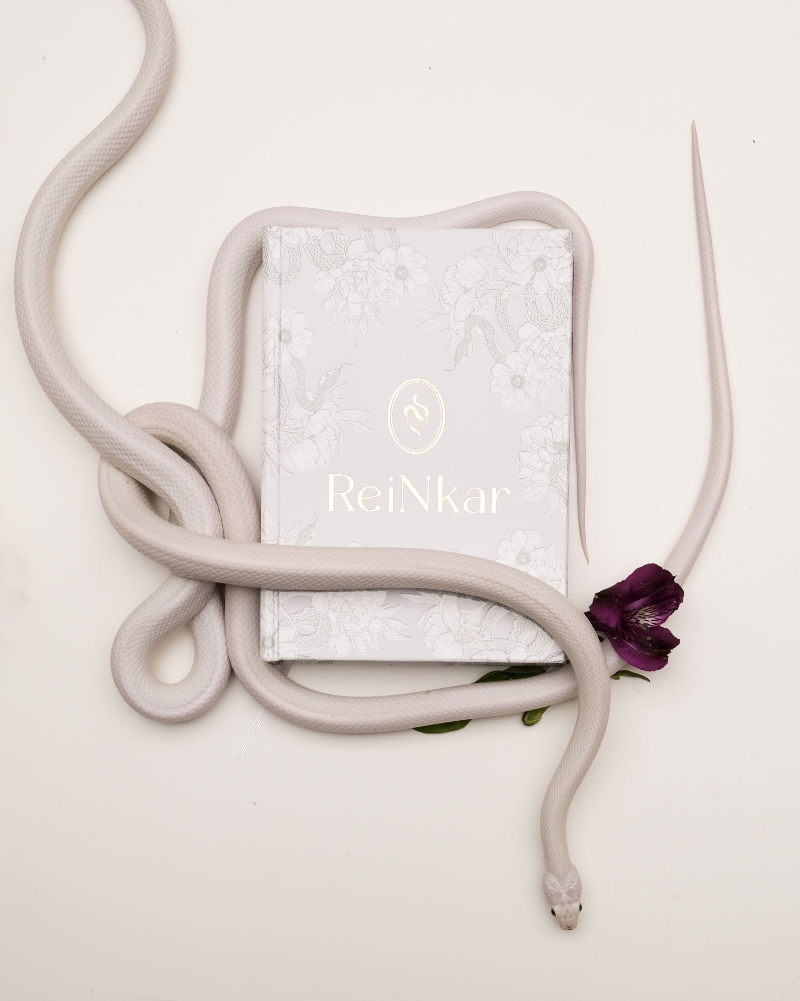 ReiNkar. Креативный продюсер / сет—дизайнер