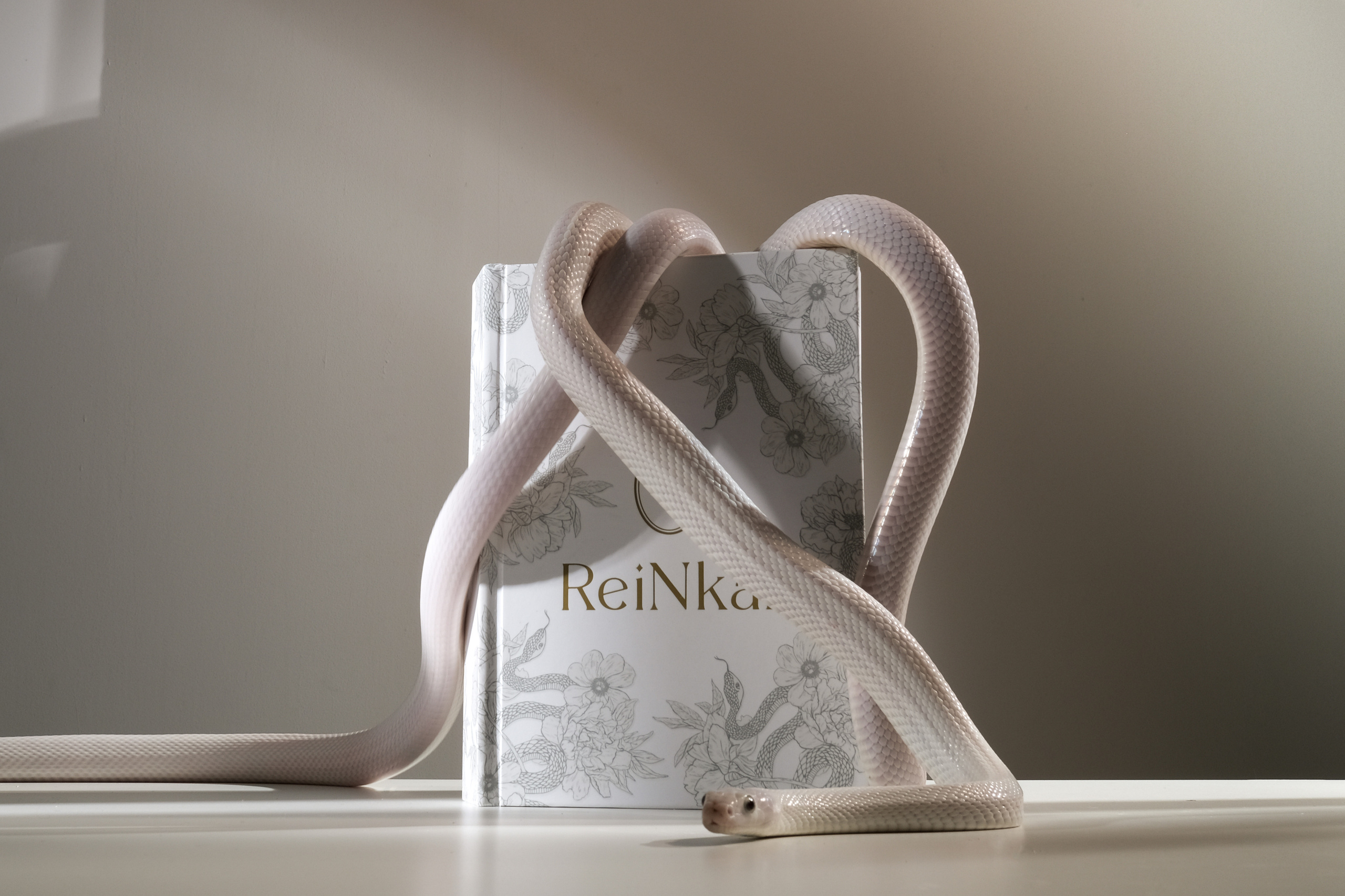 ReiNkar. Креативный продюсер / сет—дизайнер