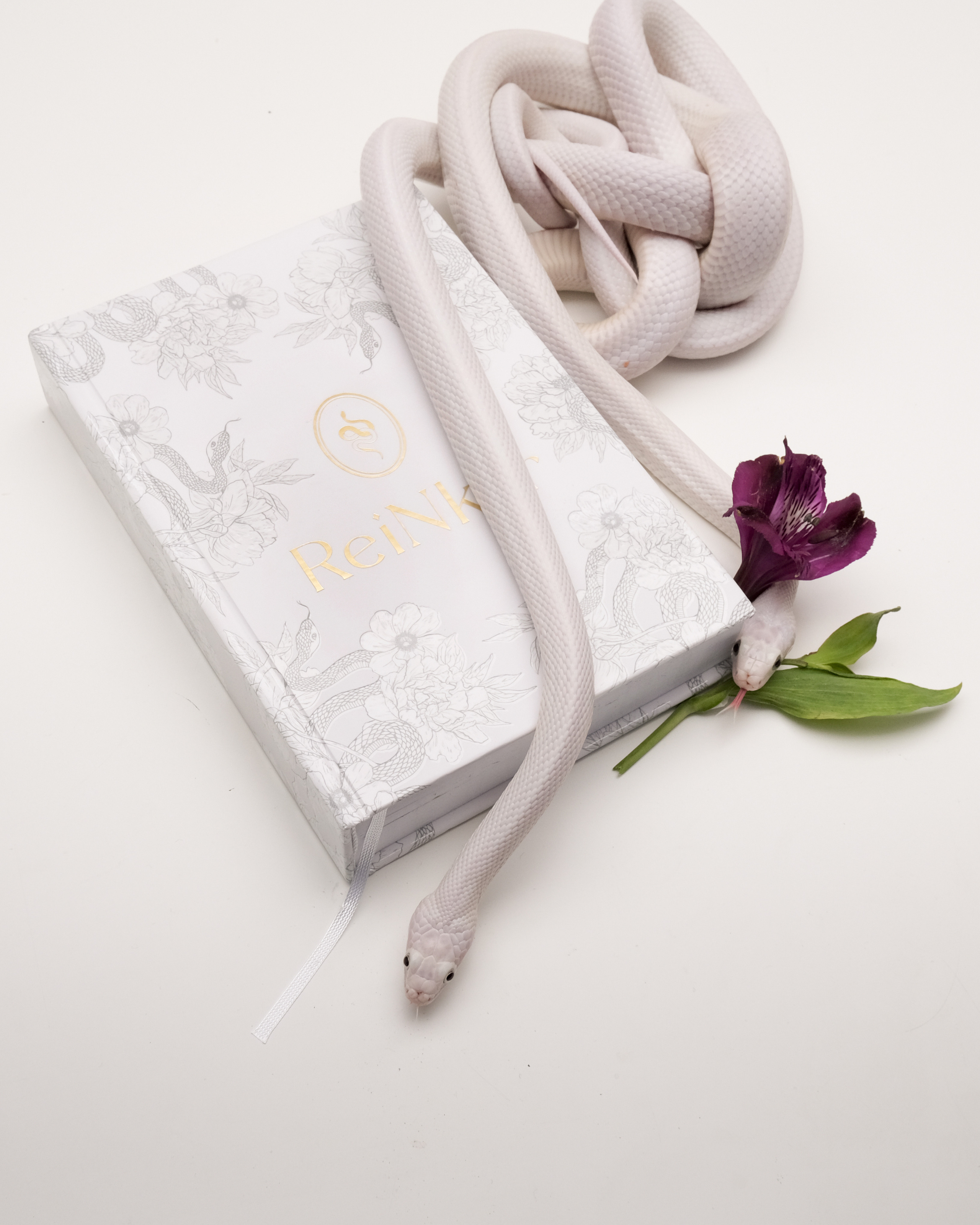 ReiNkar. Креативный продюсер / сет—дизайнер