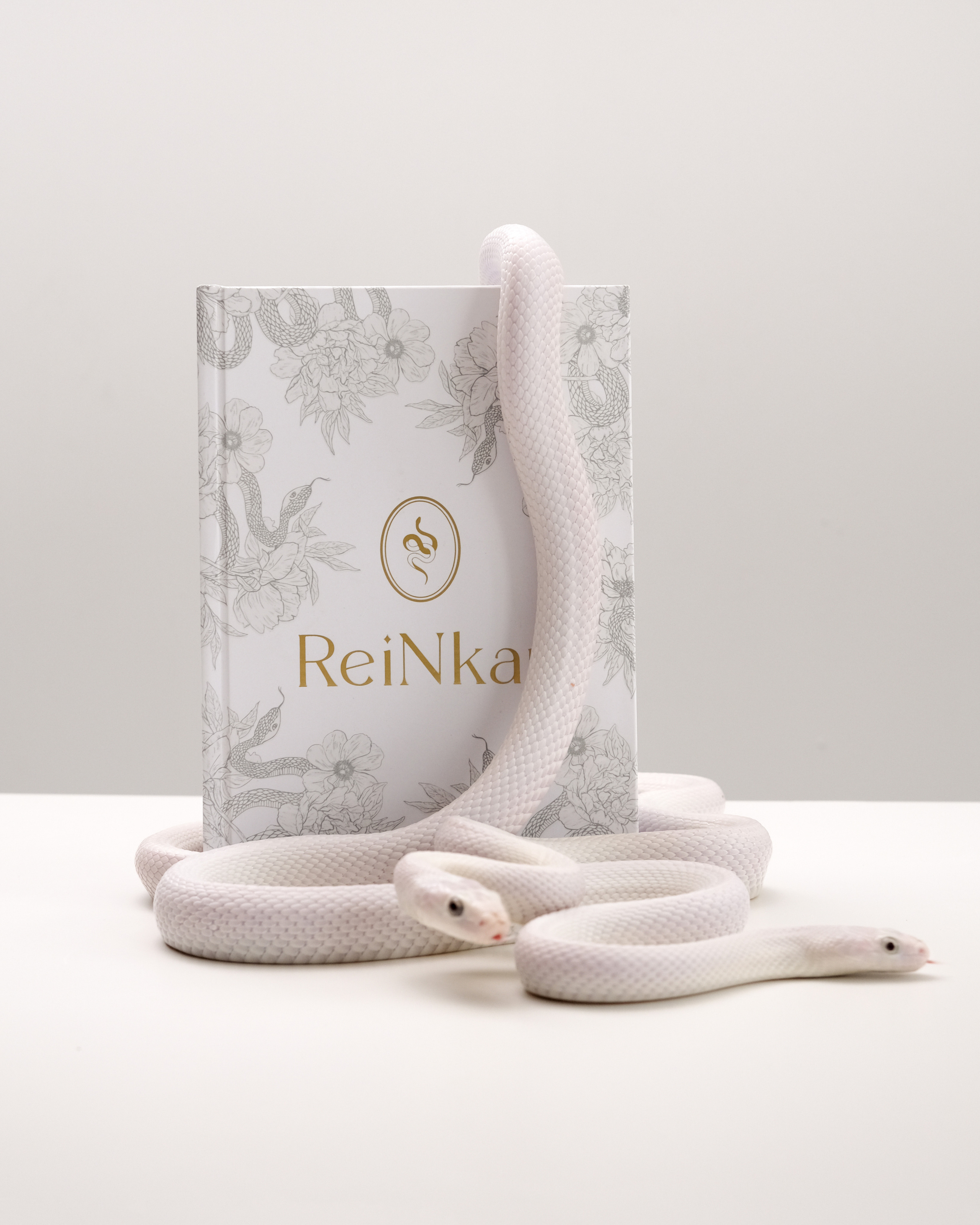 ReiNkar. Креативный продюсер / сет—дизайнер