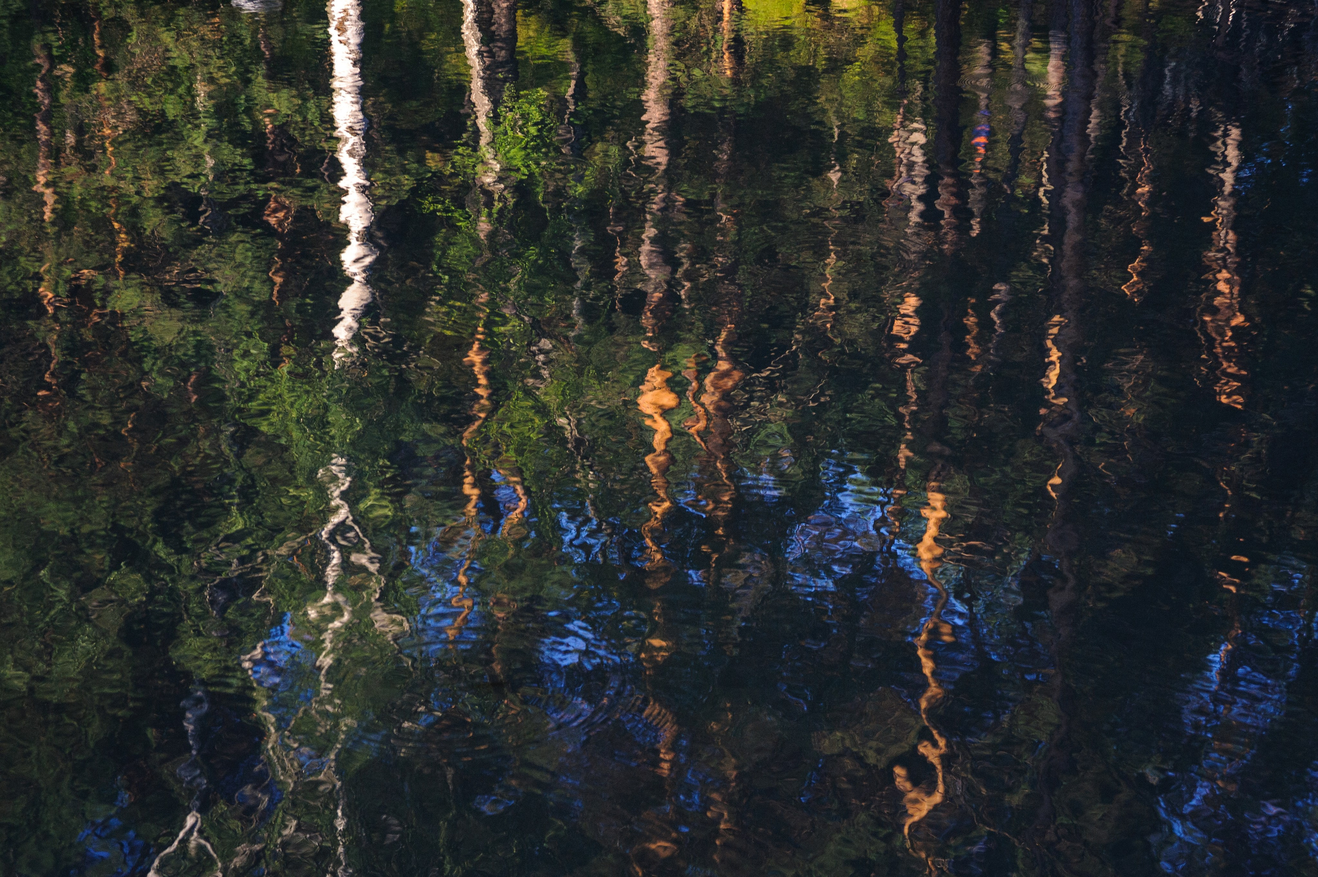 Промежуточные объекты. Фотограф Алик Мелконян