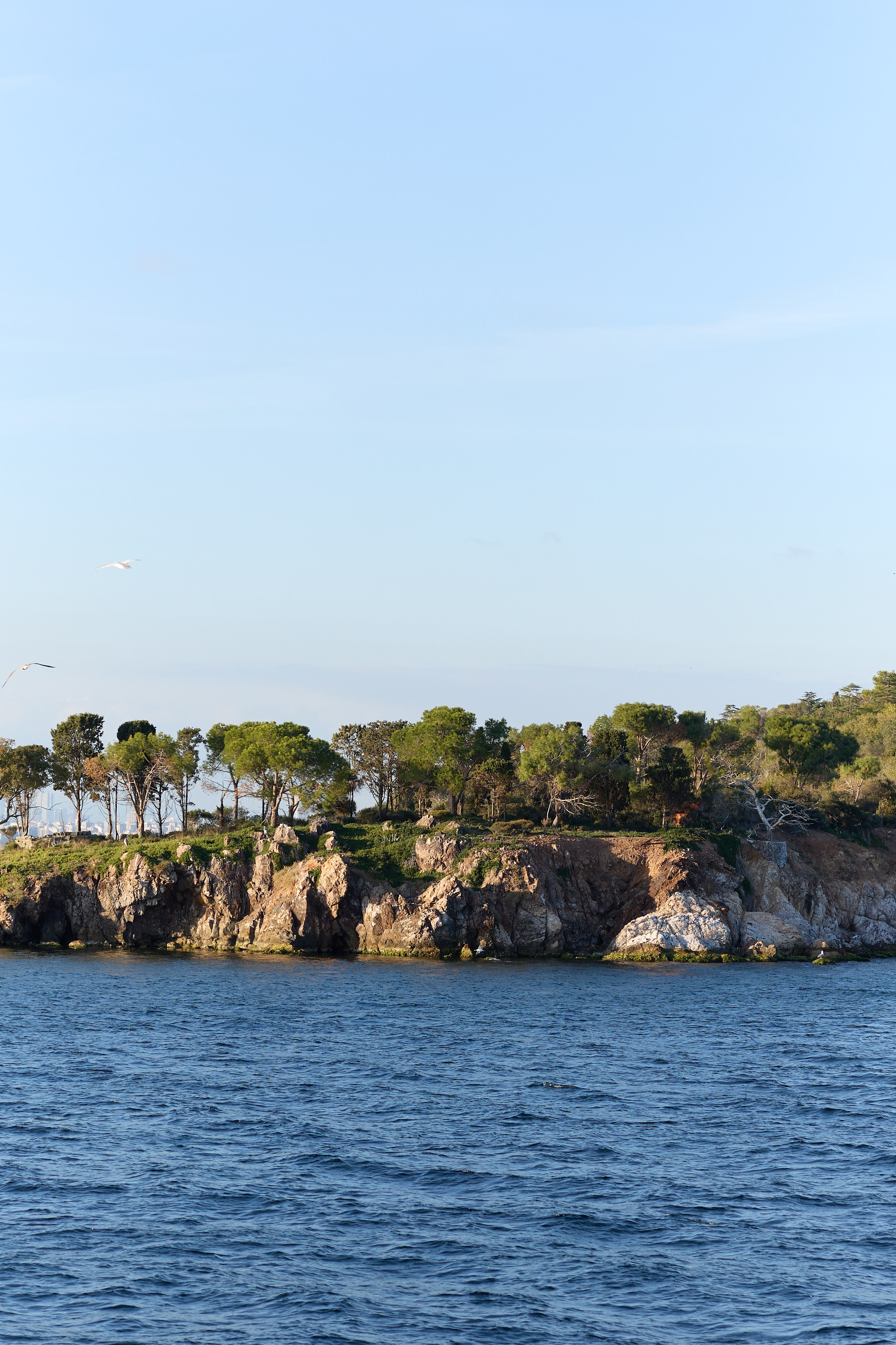 Стамбул 24. Фотограф Москва, Дима Пеллер