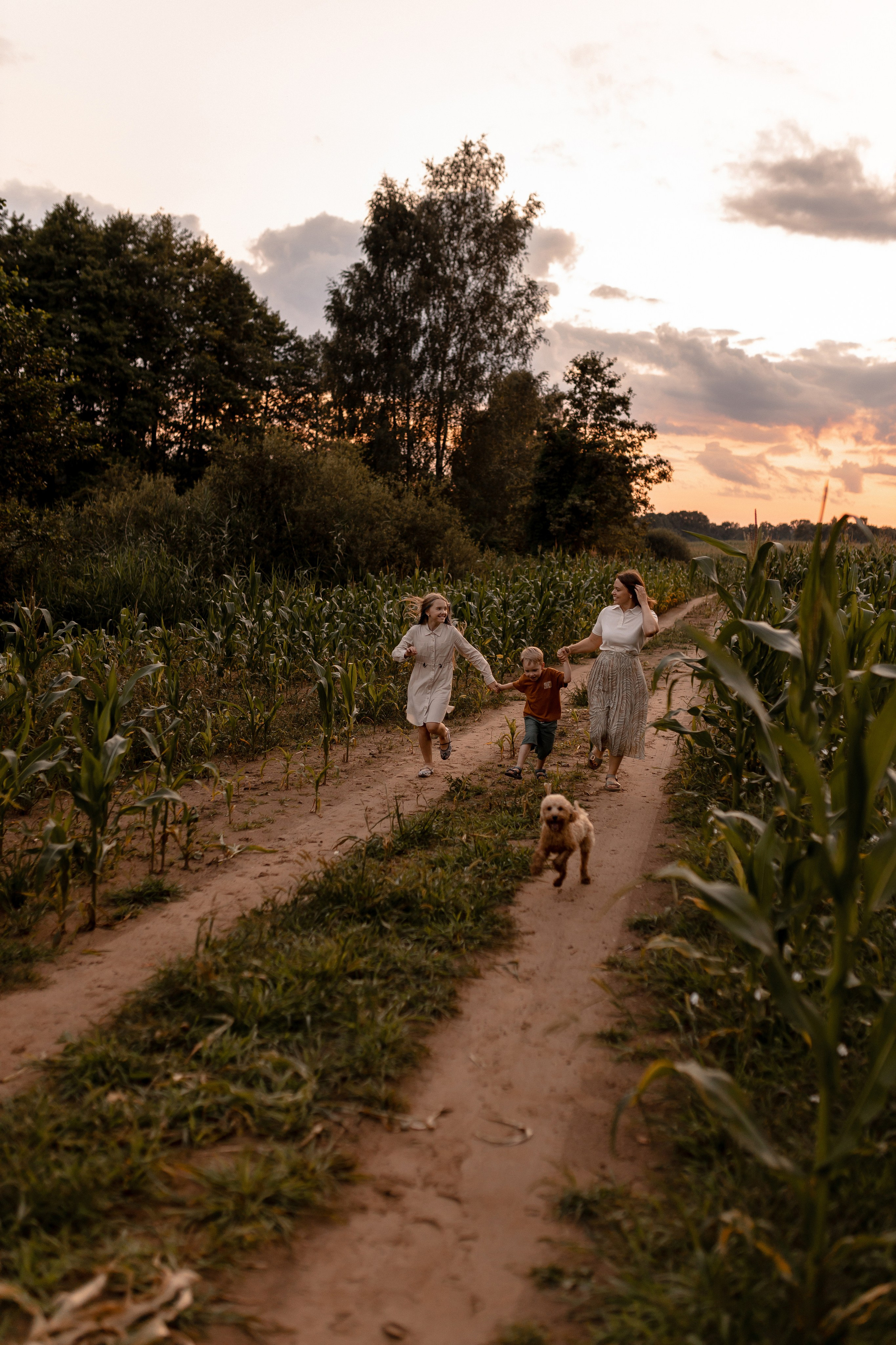 Мария, Илья, Алиса, Константин. Свадебный фотограф Елена Ловцевич