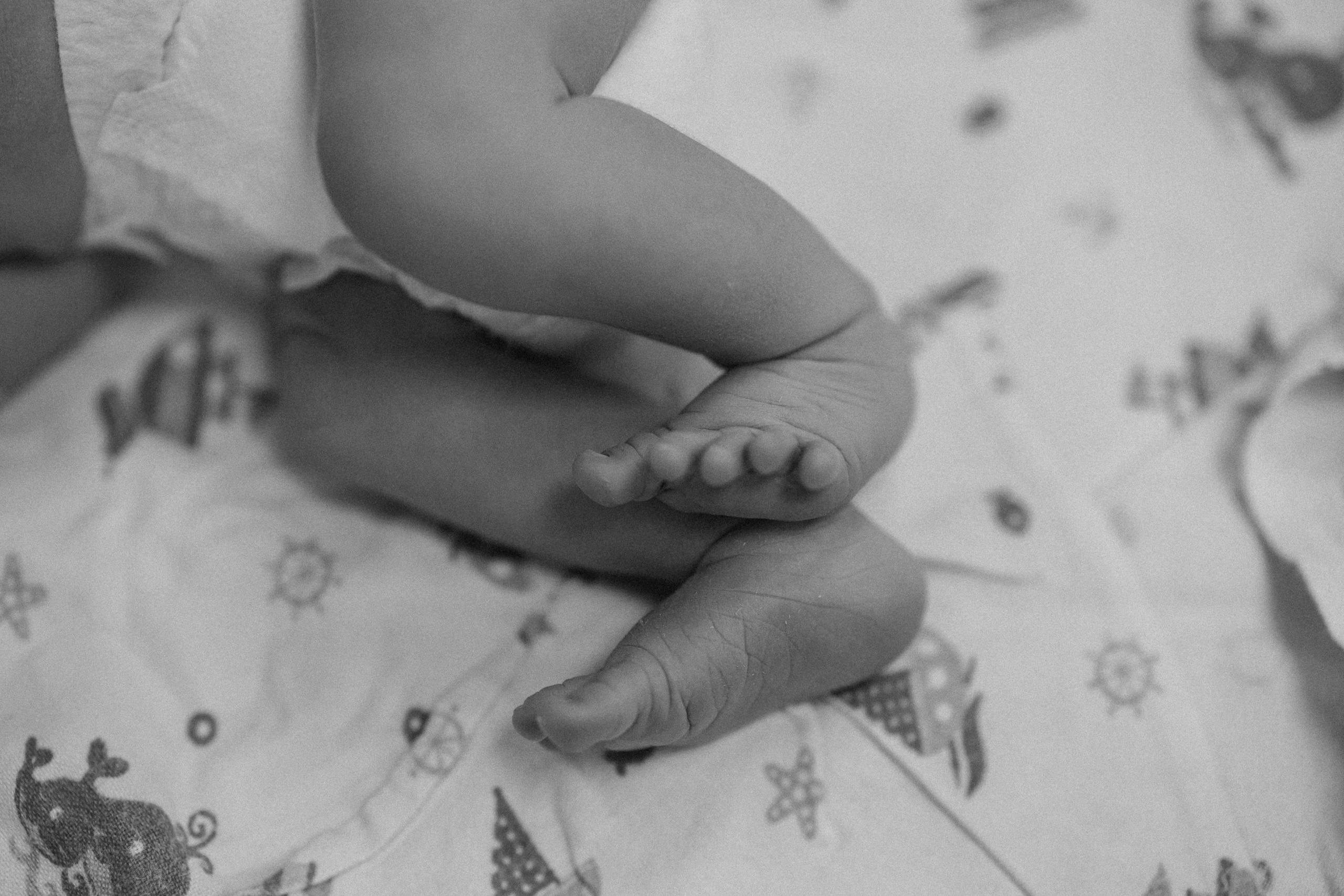 Рождение Владимира. Евгения Пелипас