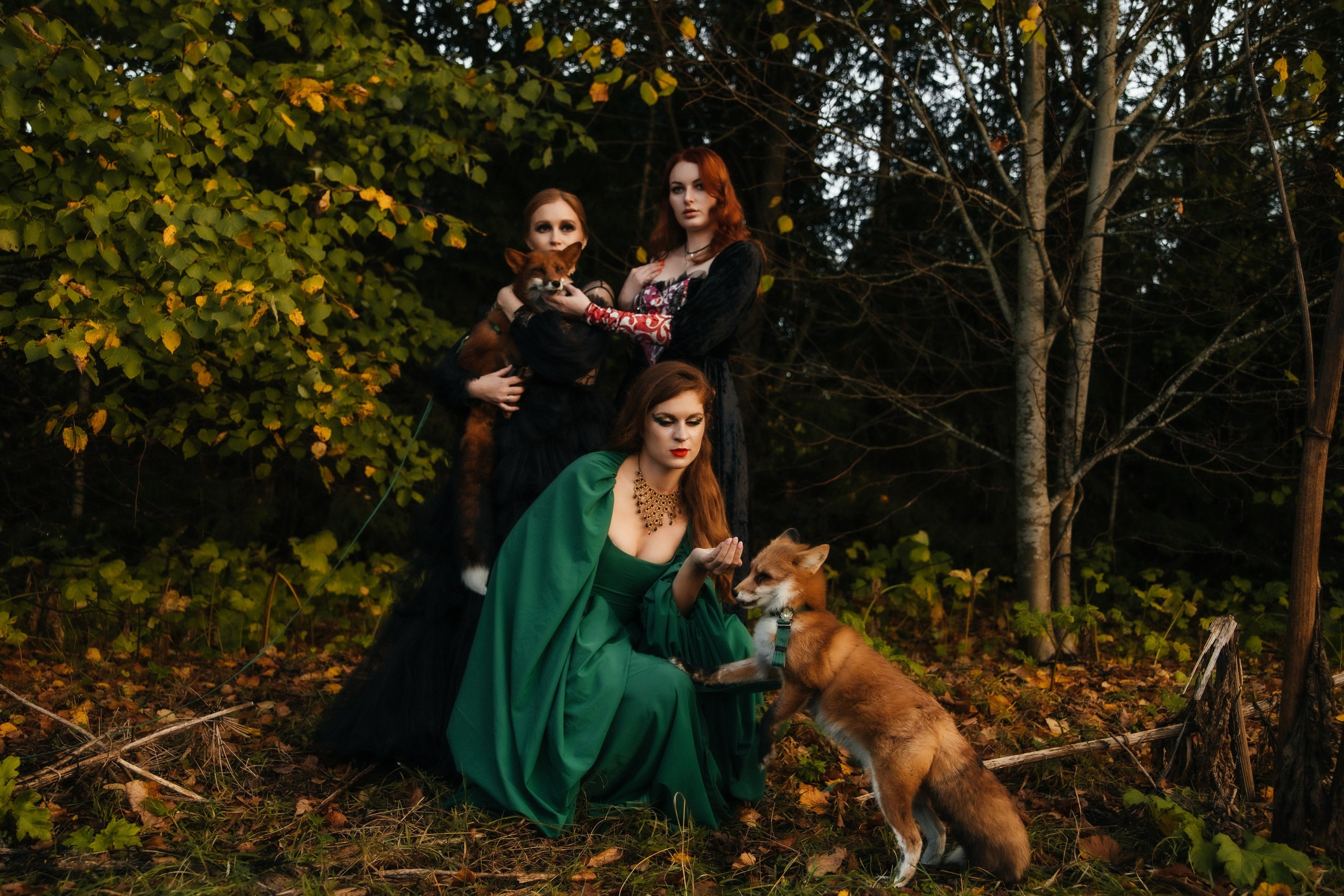 Лиса. Elena Sova — семейный и женский фотограф в Санкт-Петербурге