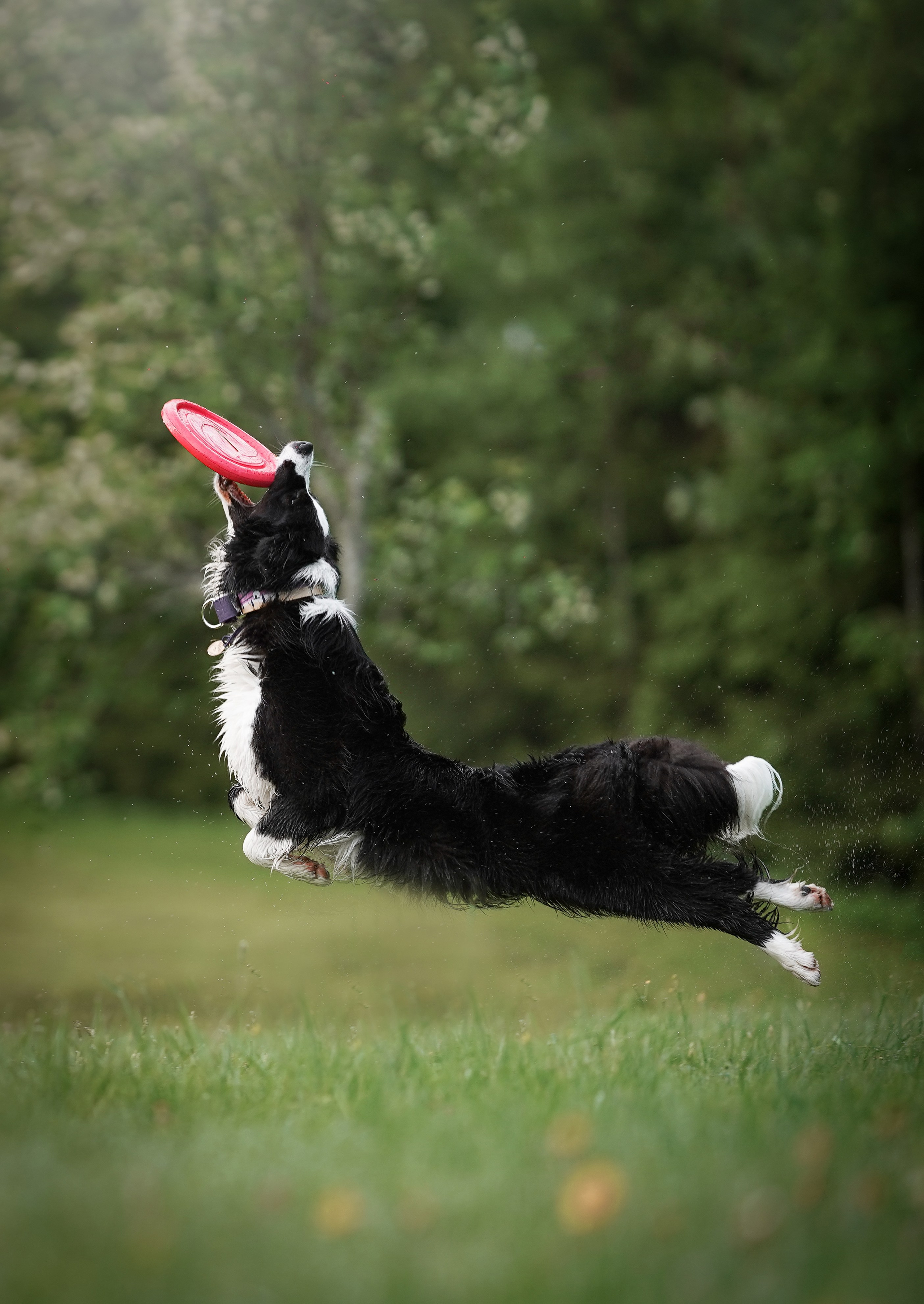 Юля, ее мама и Груша. Фотограф-анималист в Санкт-Петербурге Яна Мартынова