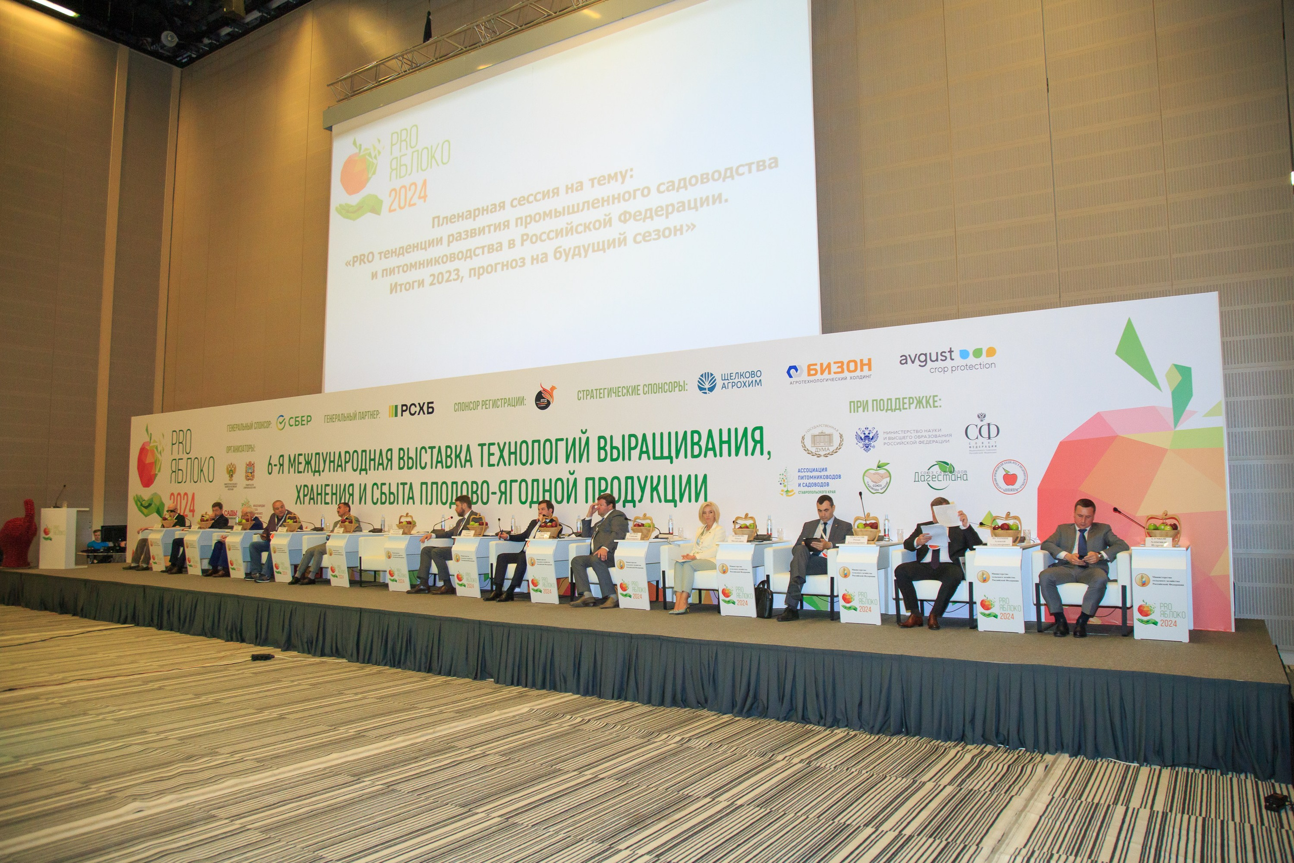 Репортажный фотограф. Репортажная фотосъёмка Минеральные Воды, Пятигорск, Кисловодск, Ставрополь. Репортажный и свадебный фотограф Пятигорск и КМВ