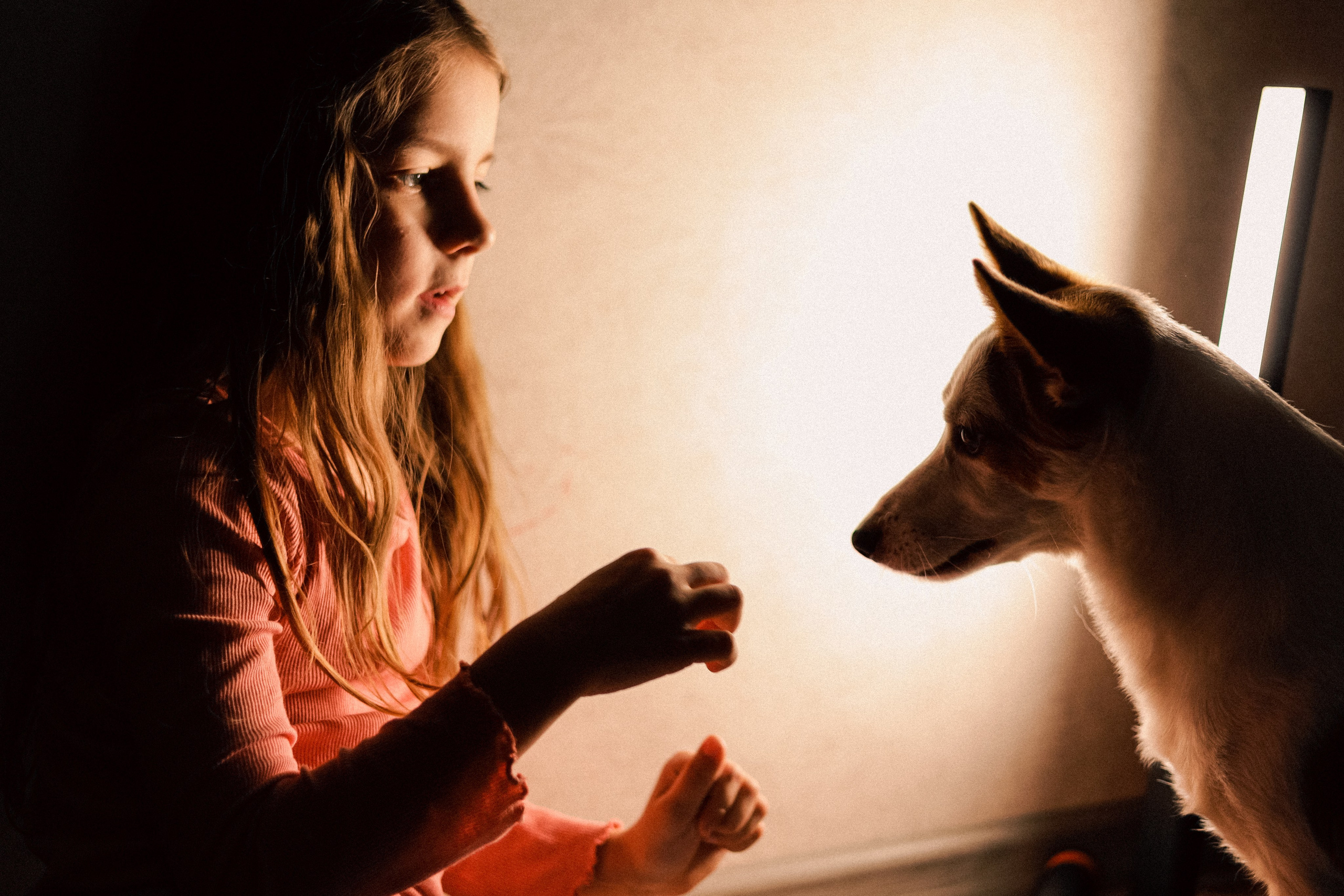Съёмка домашних питомцев (Соня и Аркадий). Свадебный фотограф Беларусь Ольга Козыренко