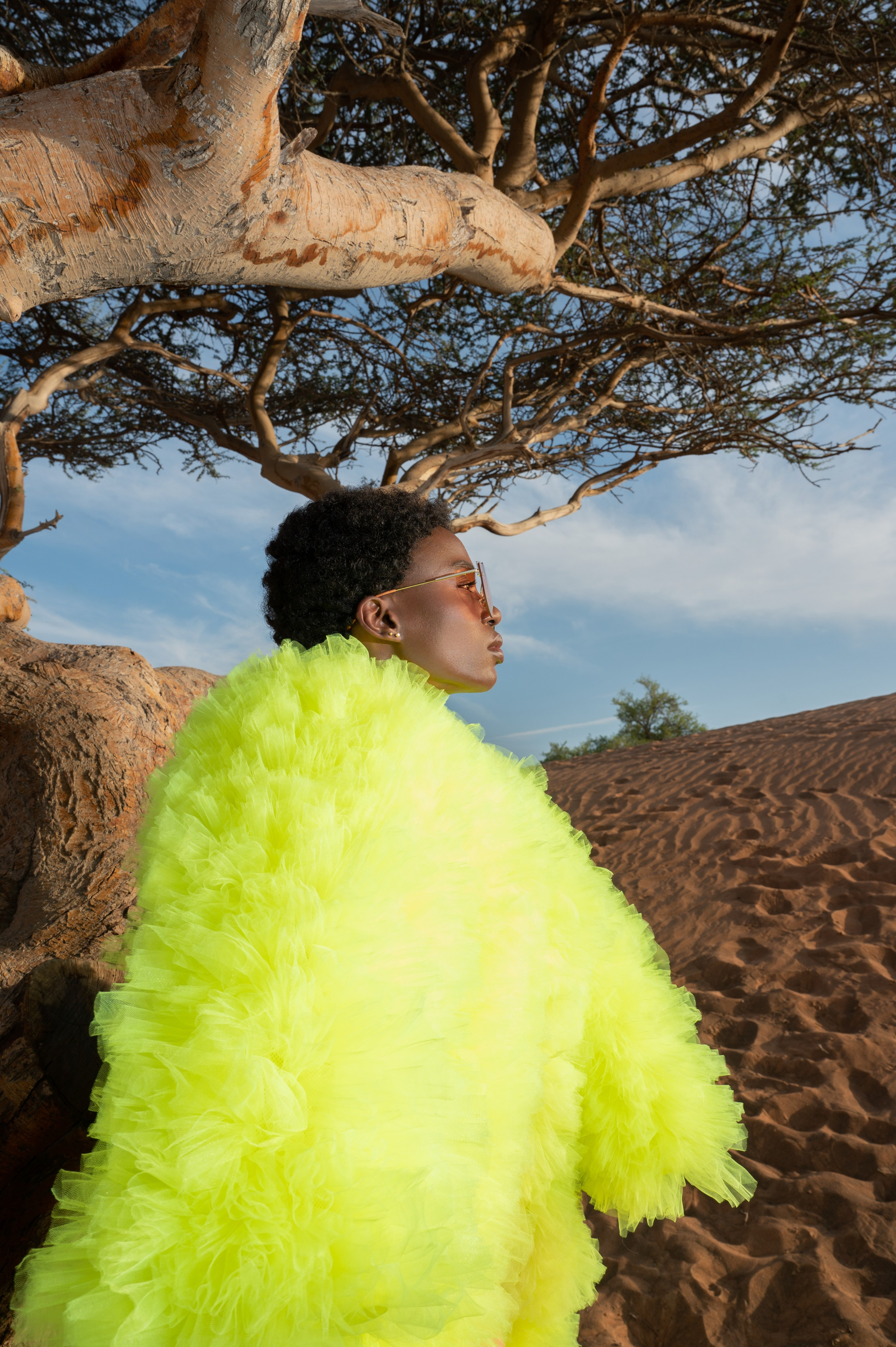 Fashion. Коммерческий фотограф Москва /Дубай, эксклюзивные фэшн фотосессии