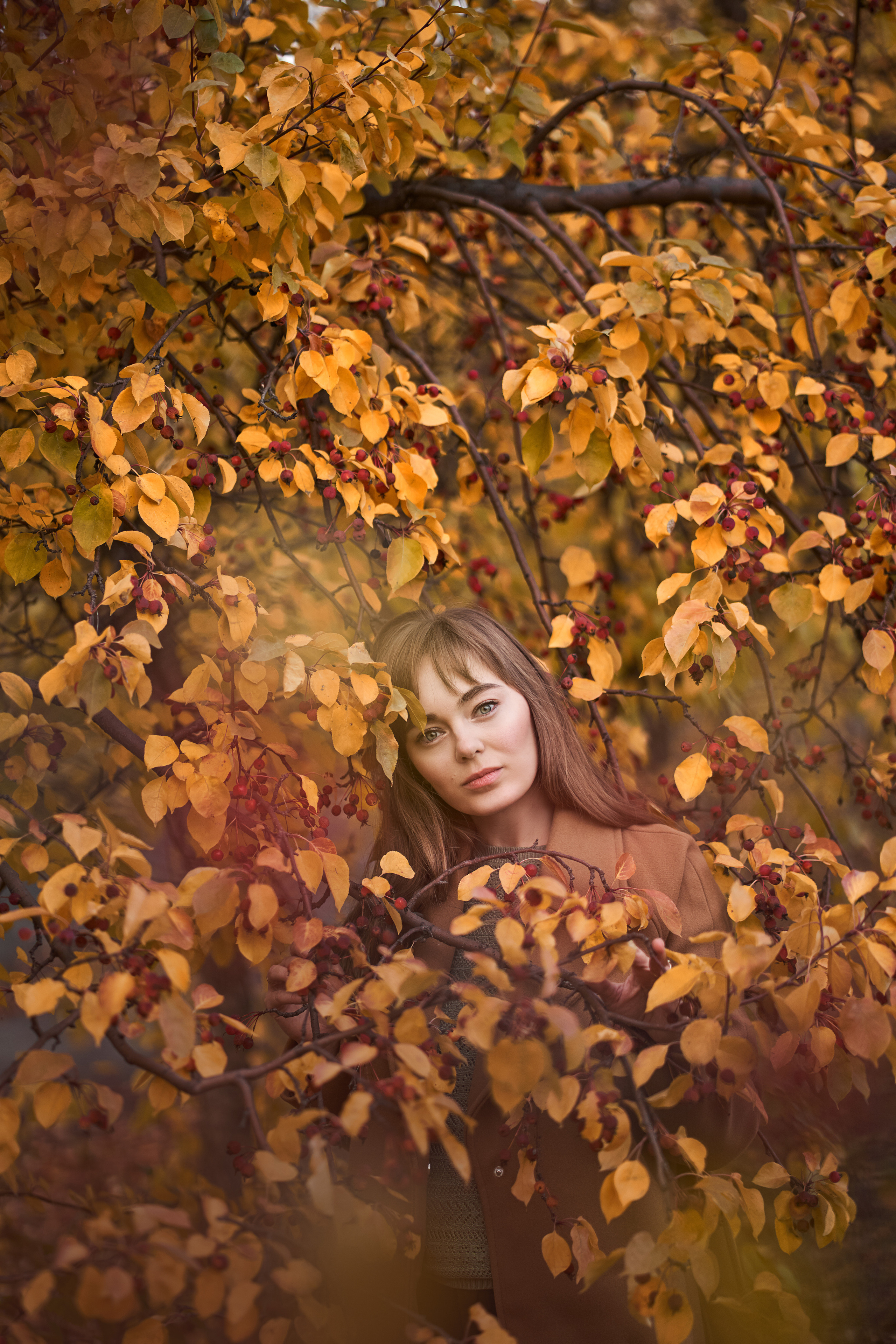 Осенняя фотосессия для Екатерины. Фотограф в Тюмени Алиса Абрашина