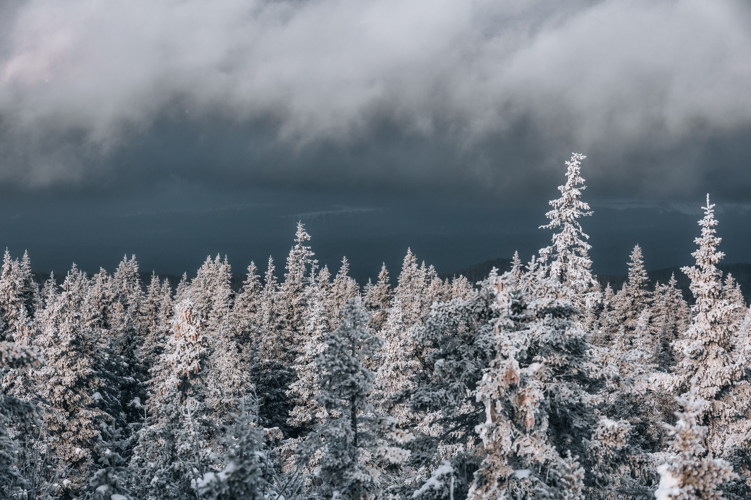 Пейзаж • Landscape. Елена Ивановой • Профессиональный фотограф