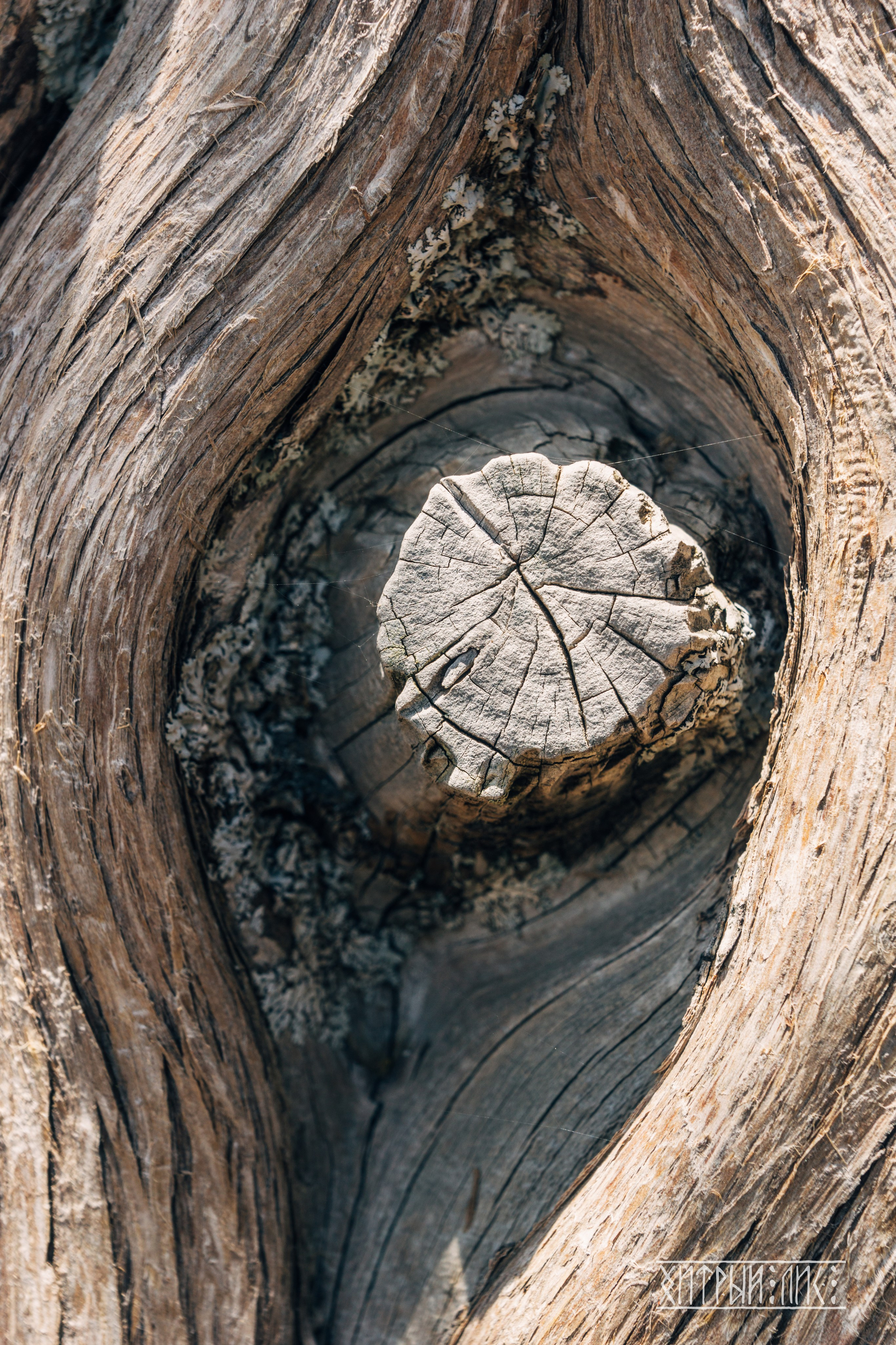 Кипр. Фотограф-путешественник Самойлов Максим «Sly Fox»