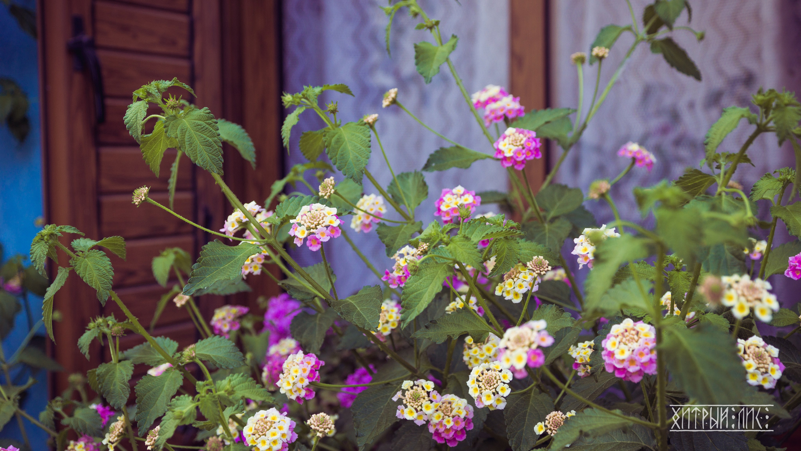 Кипр. Фотограф-путешественник Самойлов Максим «Sly Fox»