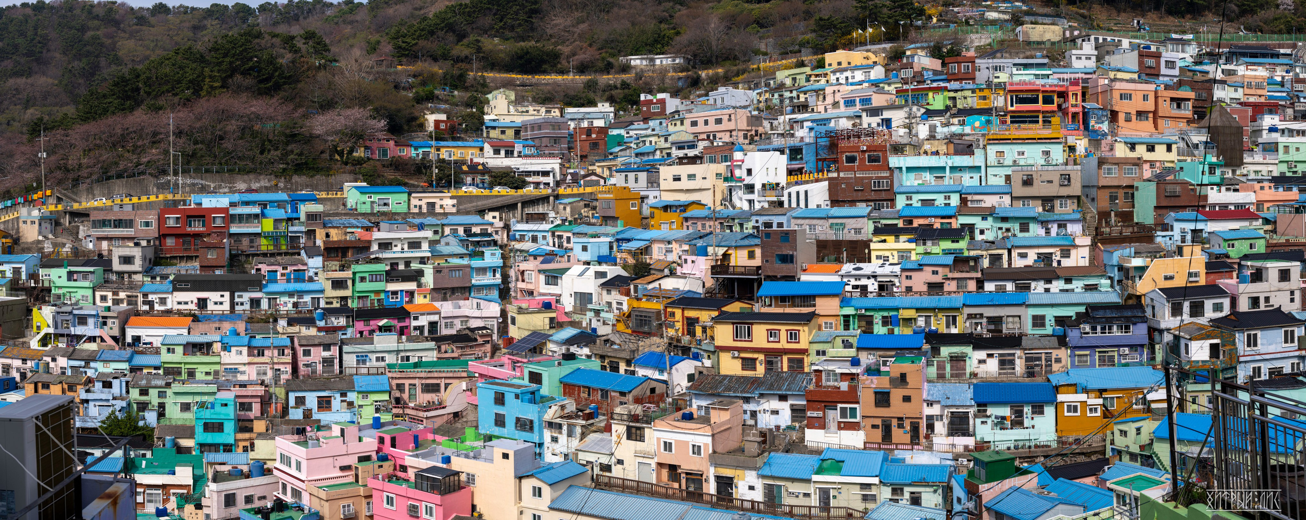 Южная Корея. Фотограф-путешественник Самойлов Максим «Sly Fox»