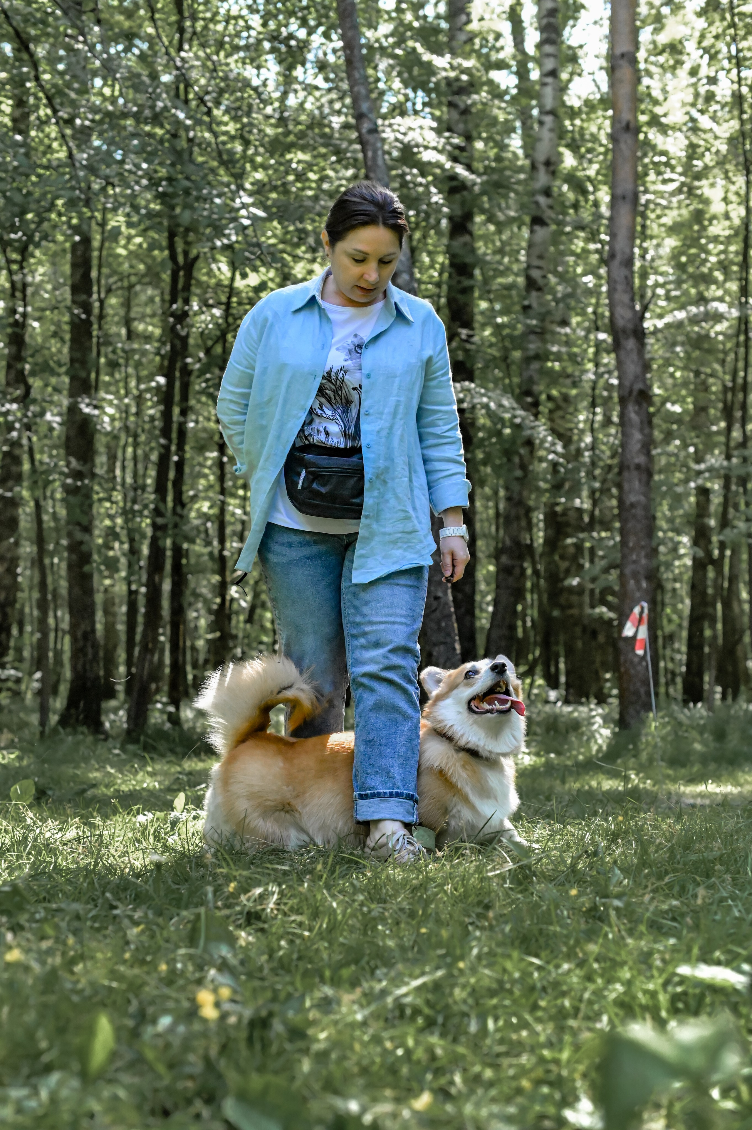 Кинологические соревнования. Семейный и репортажный фотограф в Москве Анастасия Трубкина