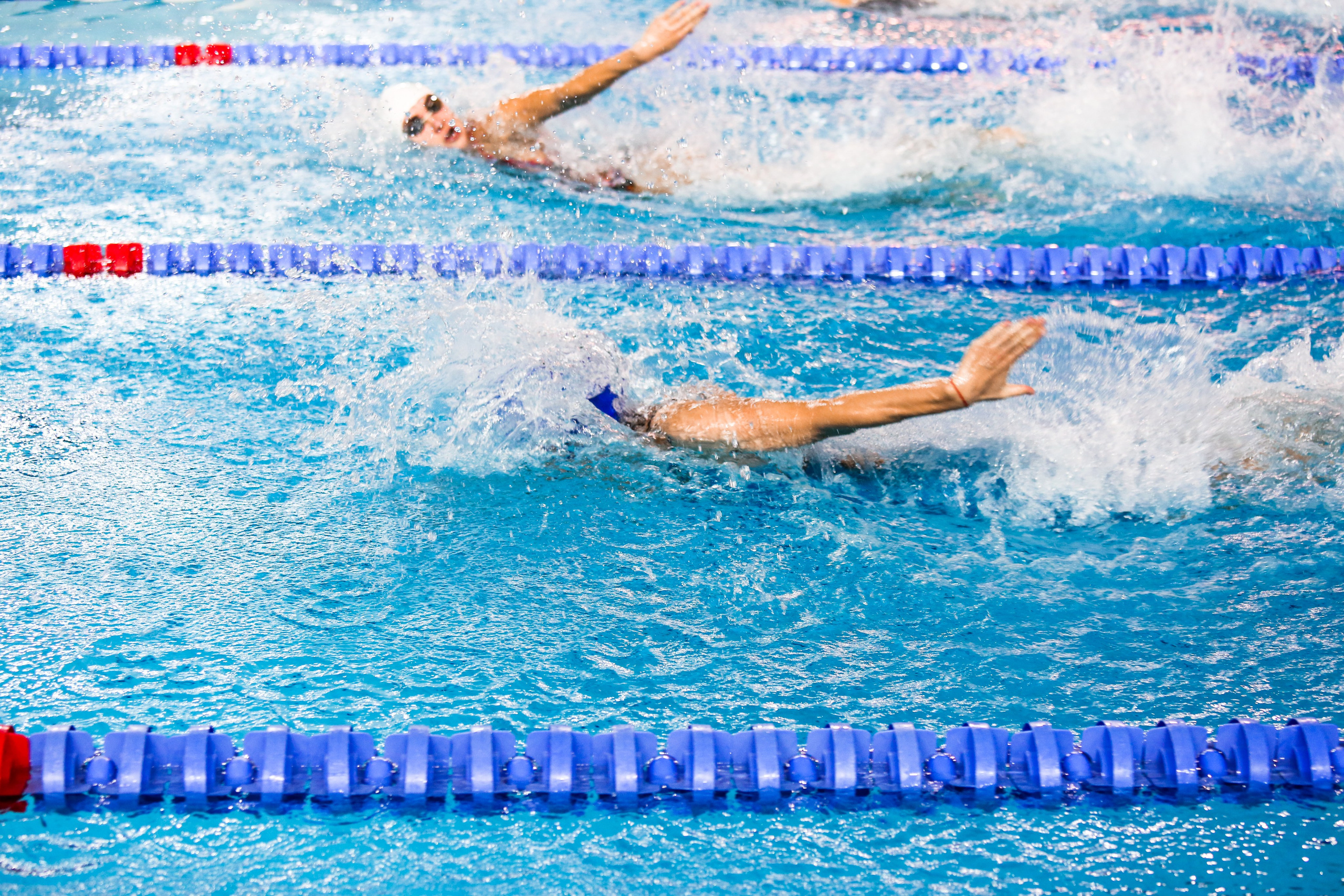 Соревнования по плаванию. Репортажный, семейный, свадебный, портретный фотограф