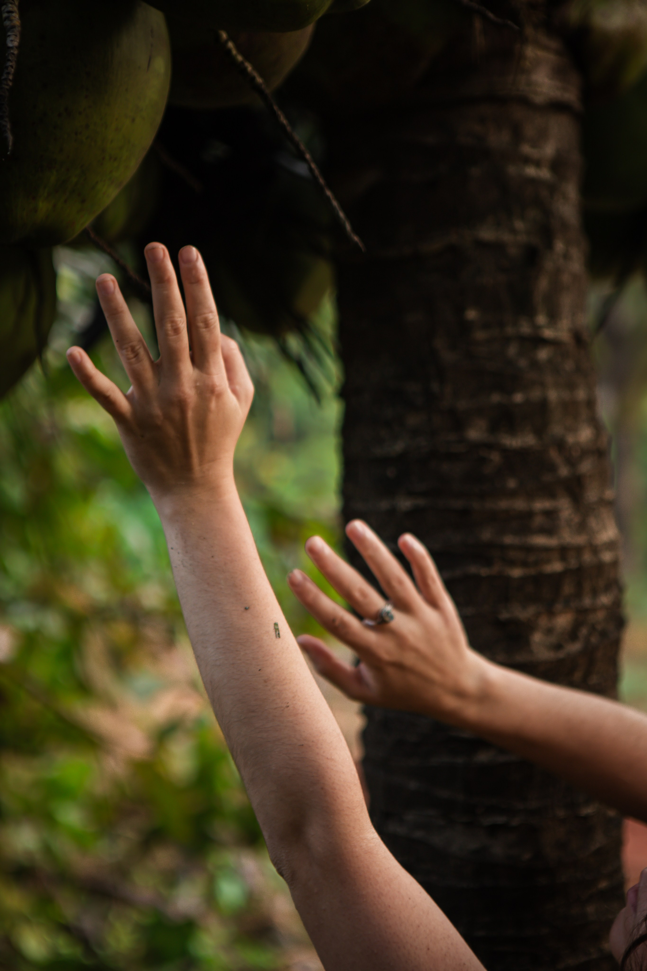Иная та. Сайт Фотографа MASHASOLAR