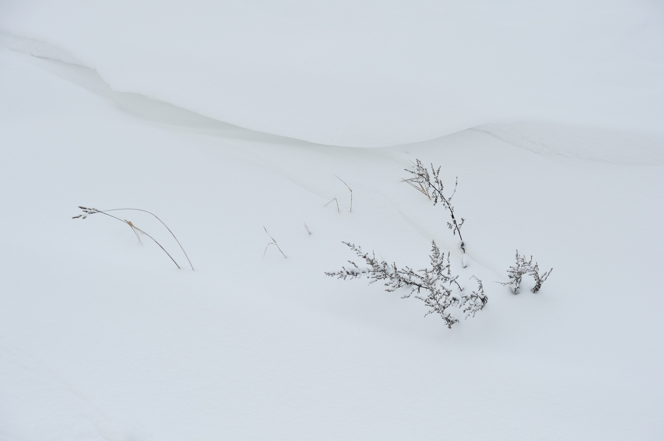 Форма снега. Катерина Михеева