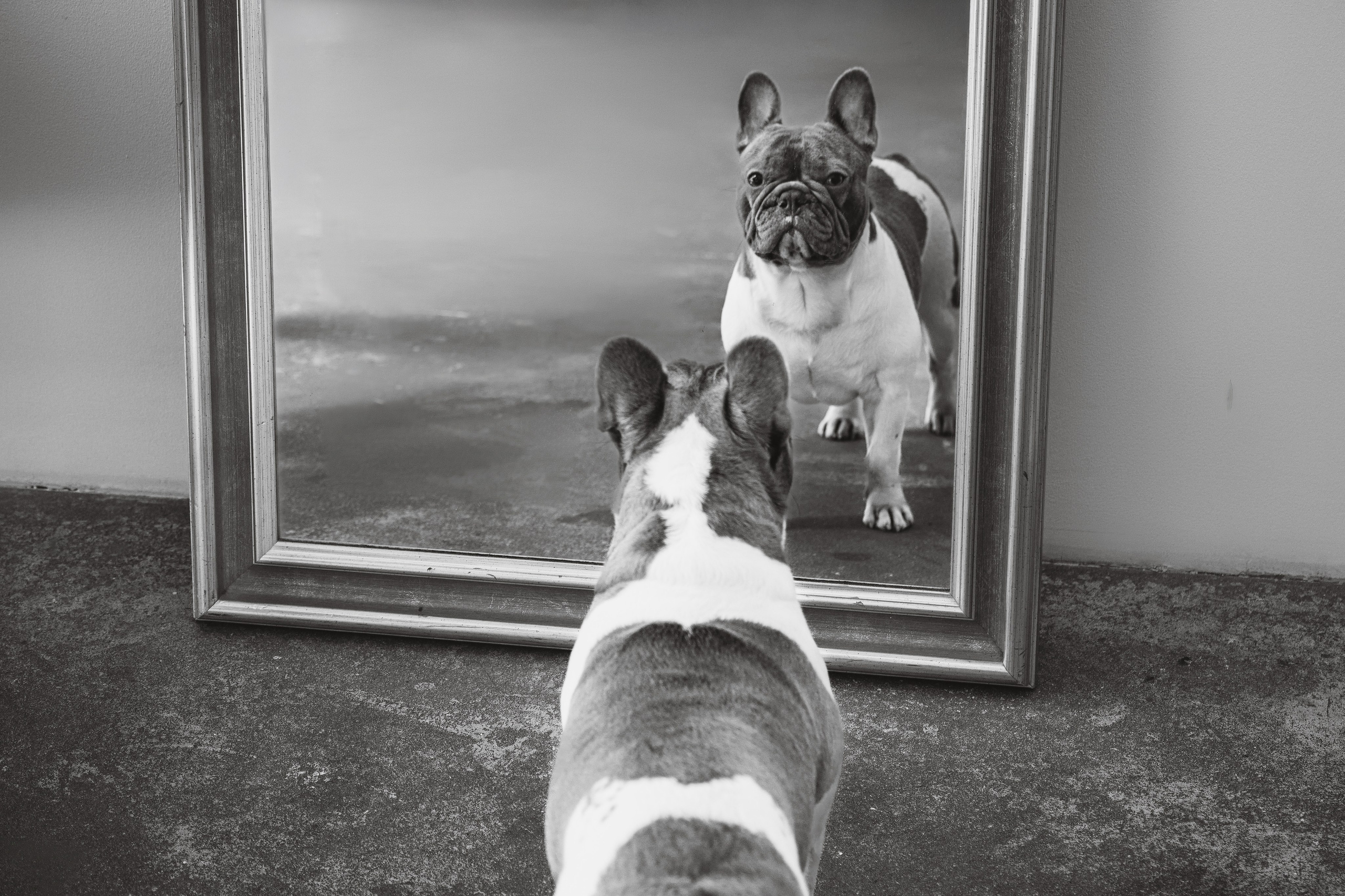 Екатерина, Виталий и Ричи