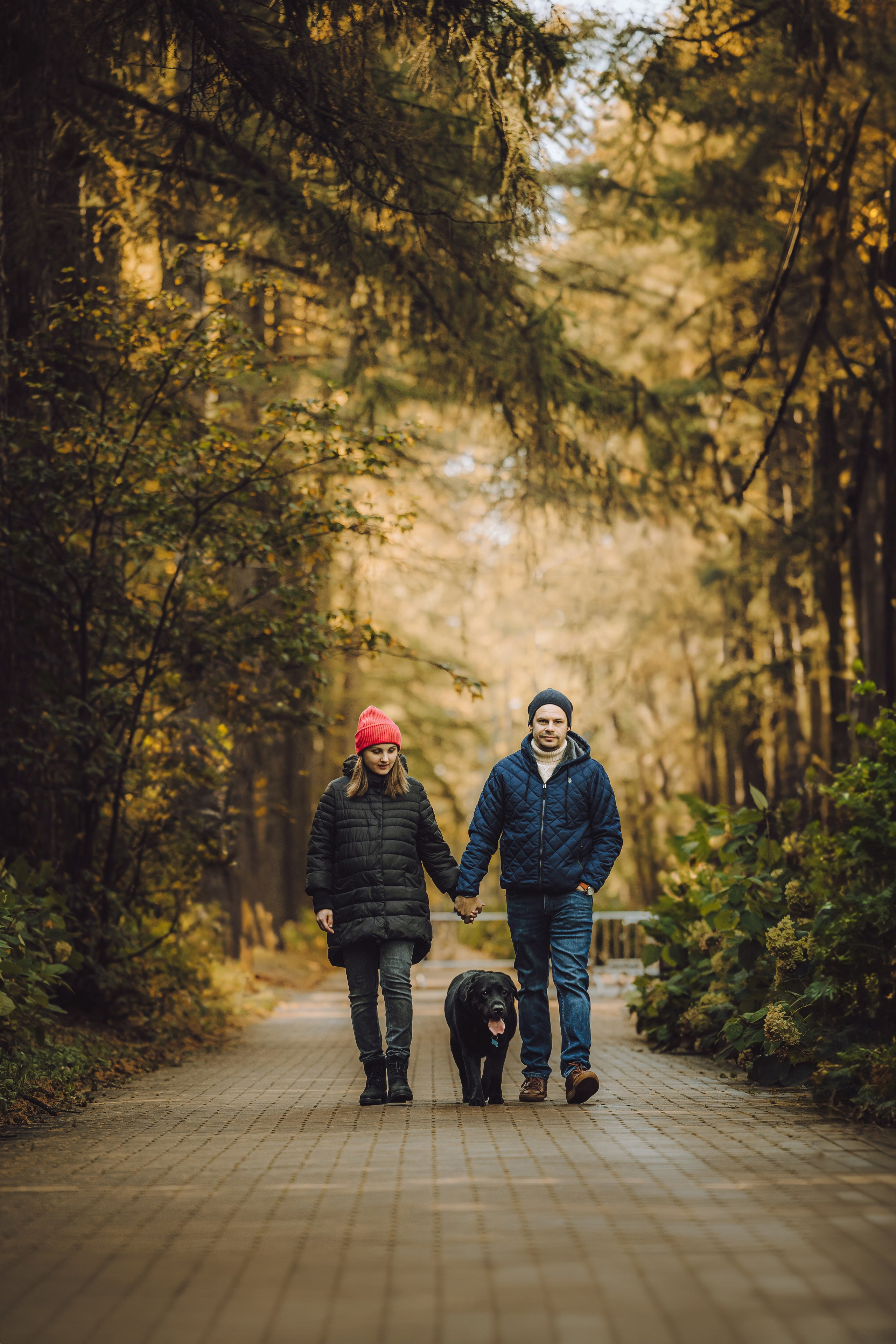 Лабрадор Честер и его семья