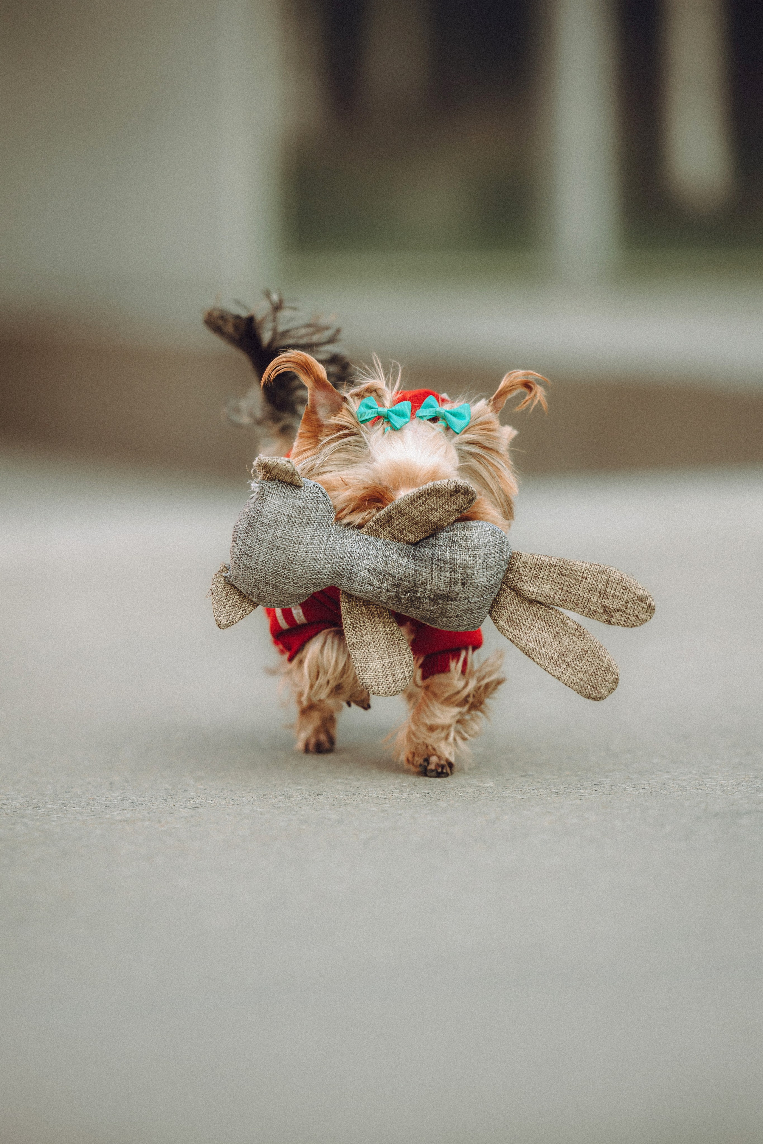 Дженни, Оливия и их семья