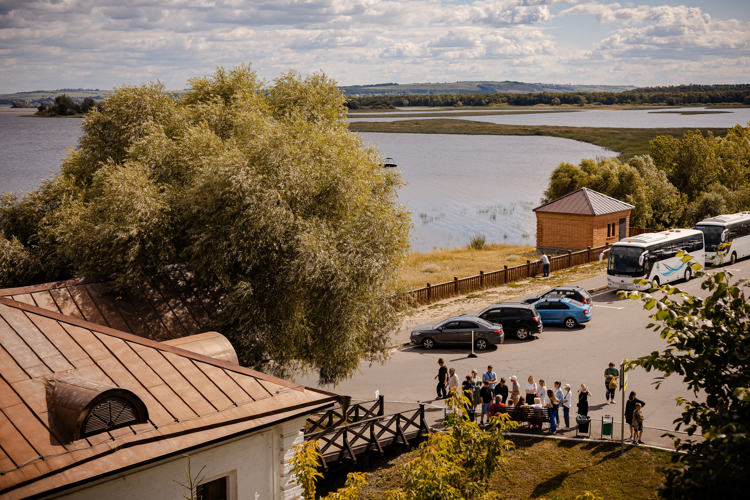 Фотосъемка собак, щенков, на выставках, фотограф анималист Россия воронеж. Питомник собак Акита, Хаски, Корги