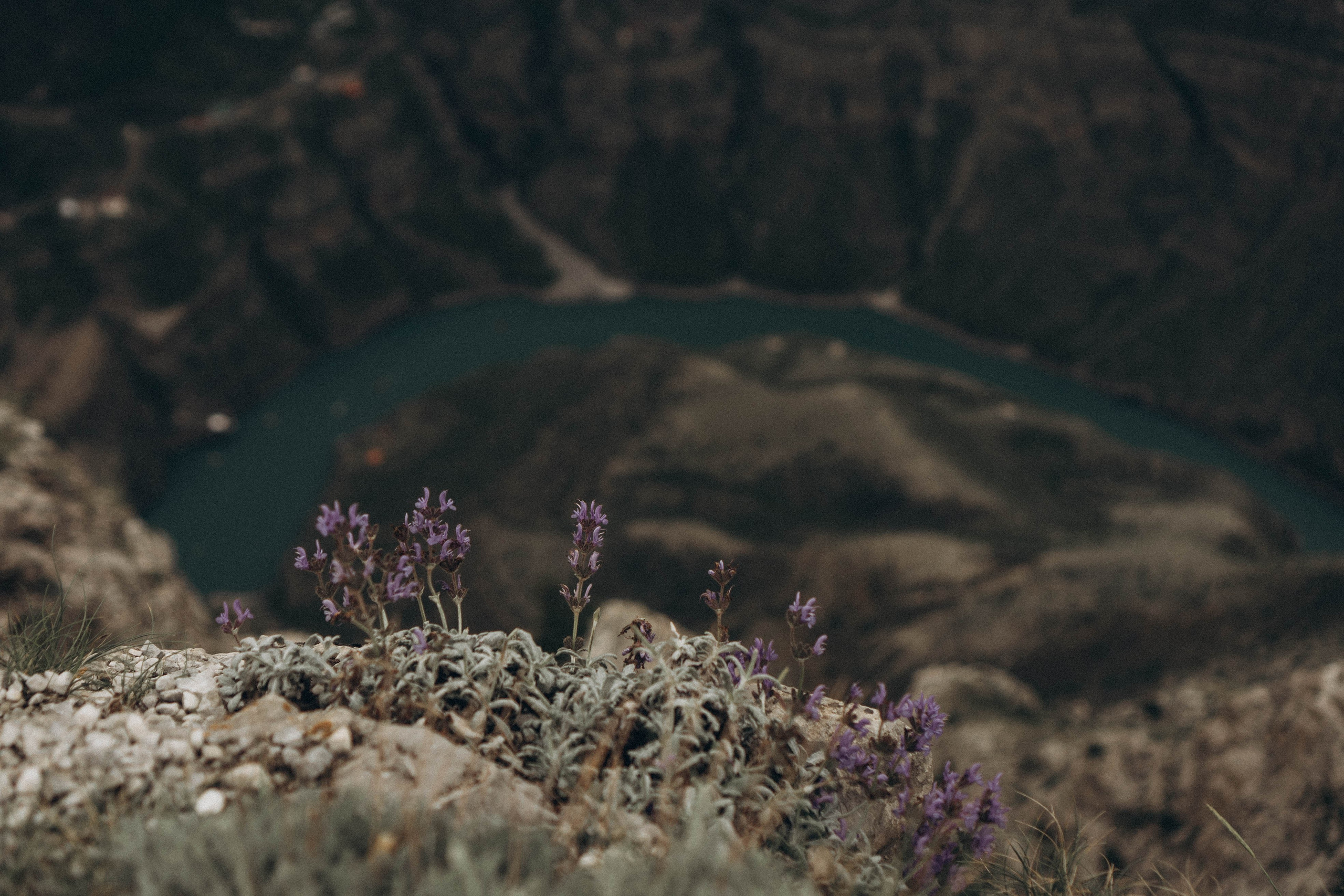 Кавказ. Профессиональный фотограф, Санкт-Петербург — Виктория Богомолова