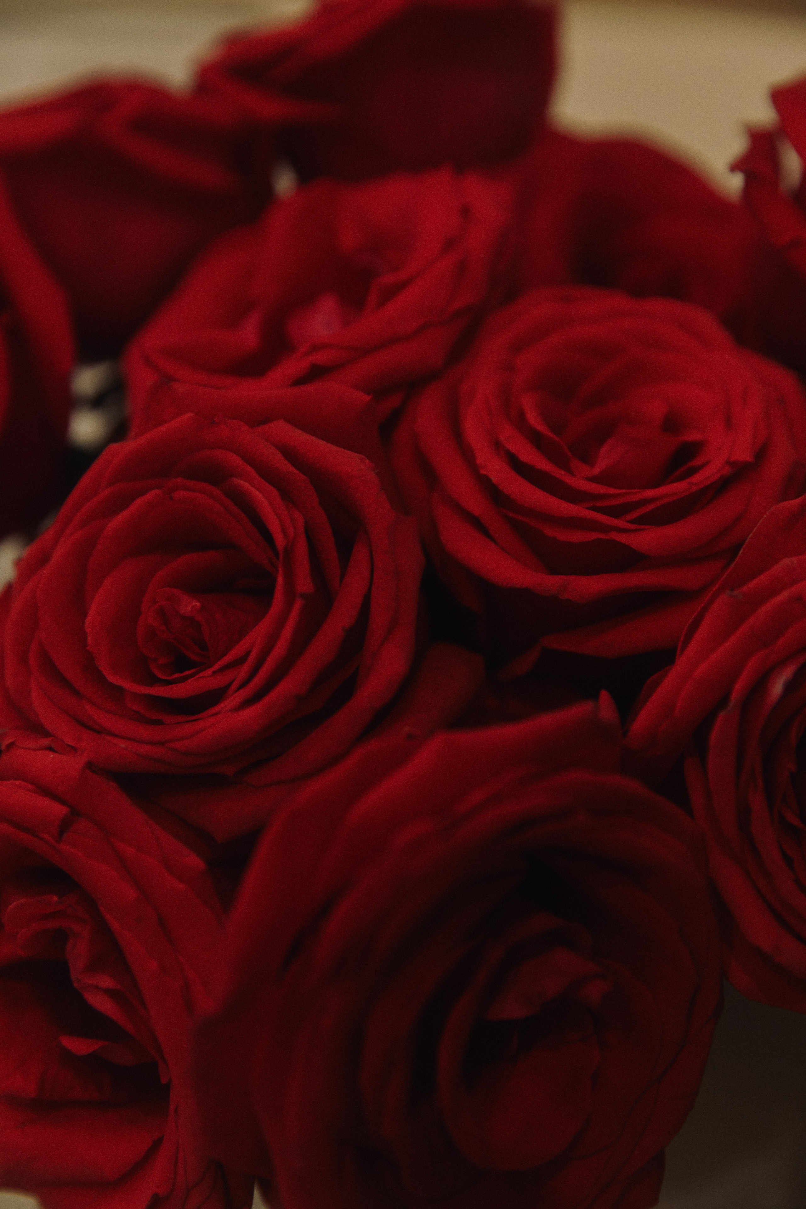 LA DOLCE VITA. Дмитрий Мазуркевич: Профессиональный Репортажный Фотограф