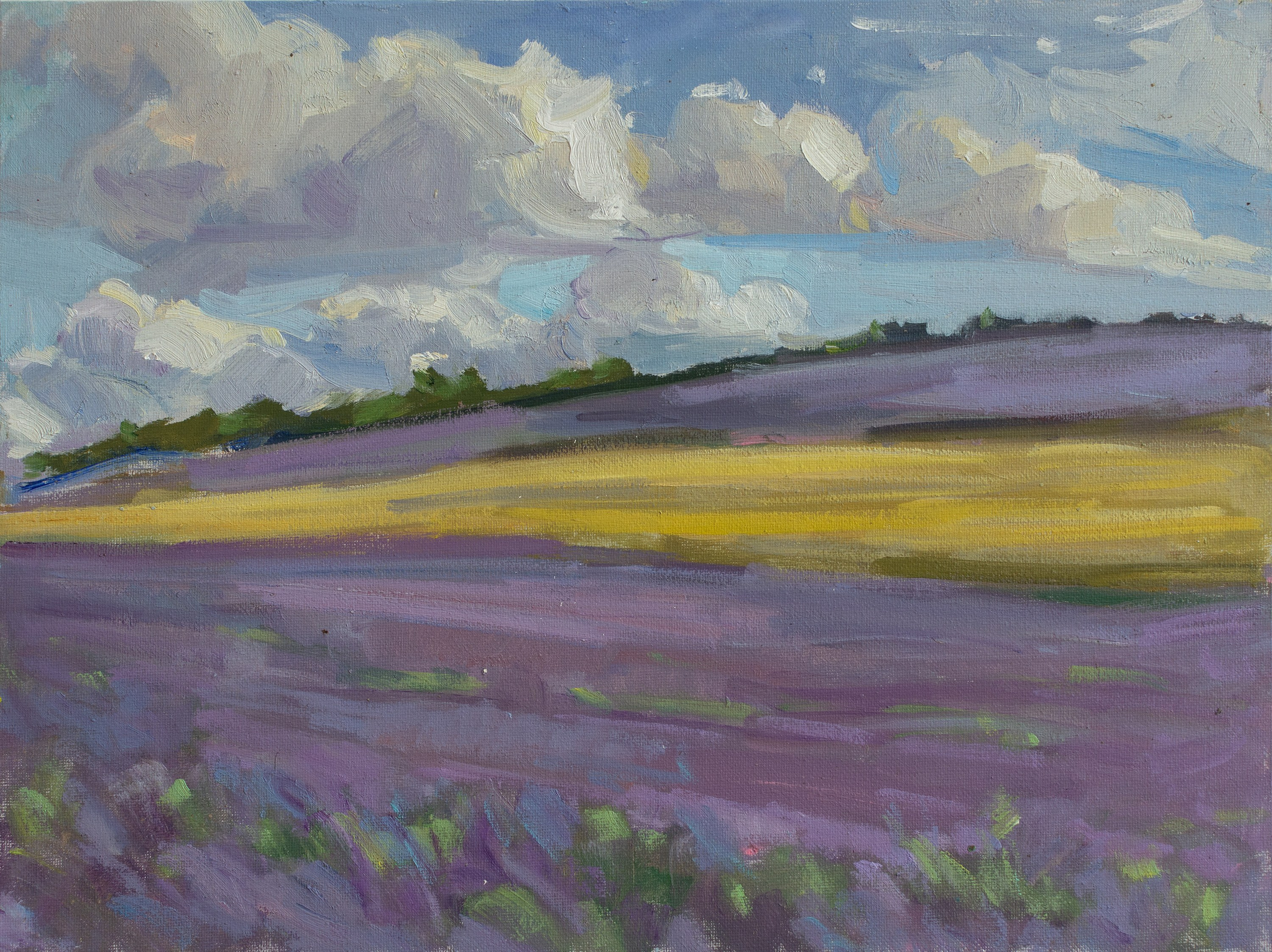 "Начало лета" холст на картоне, масло 30х40см, 2024