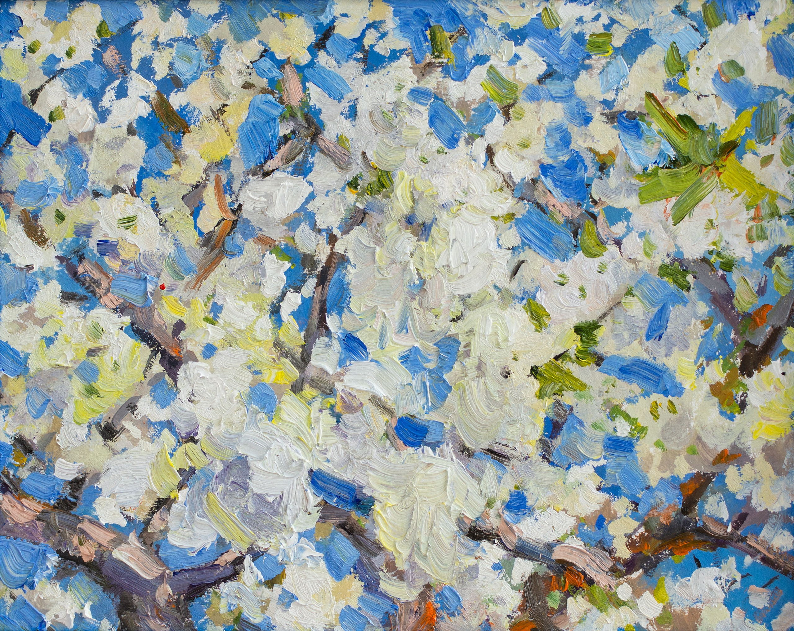 "Вишня цветет" картон, масло 20х25 см, 2025г