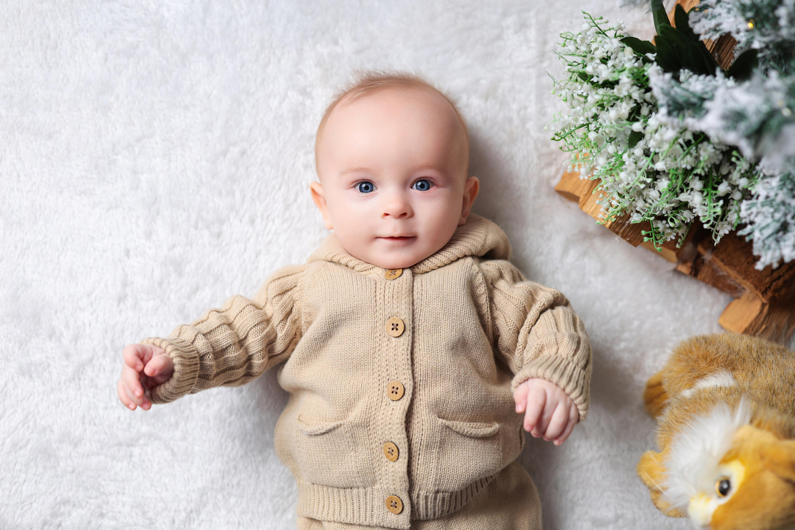 Антураж НОВЫЙ ГОД 2025